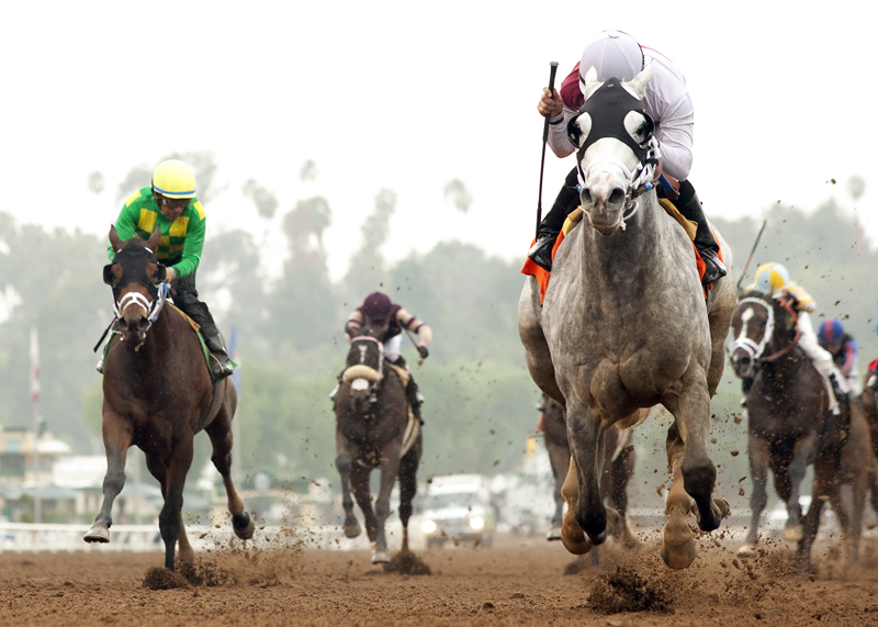 Calculator wins 2015 Sham