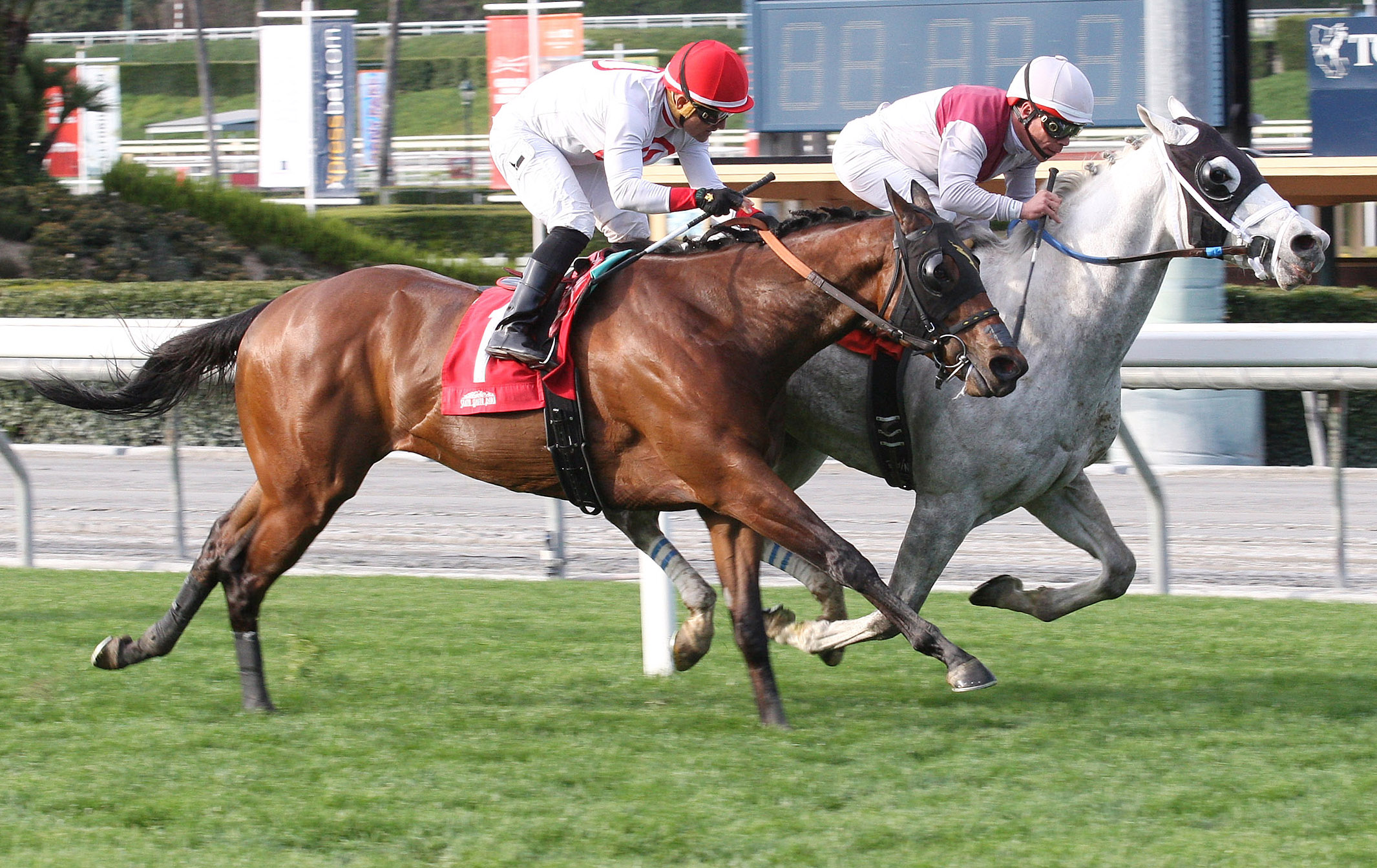 Cautious Giant finishes second in a March 2 allowance