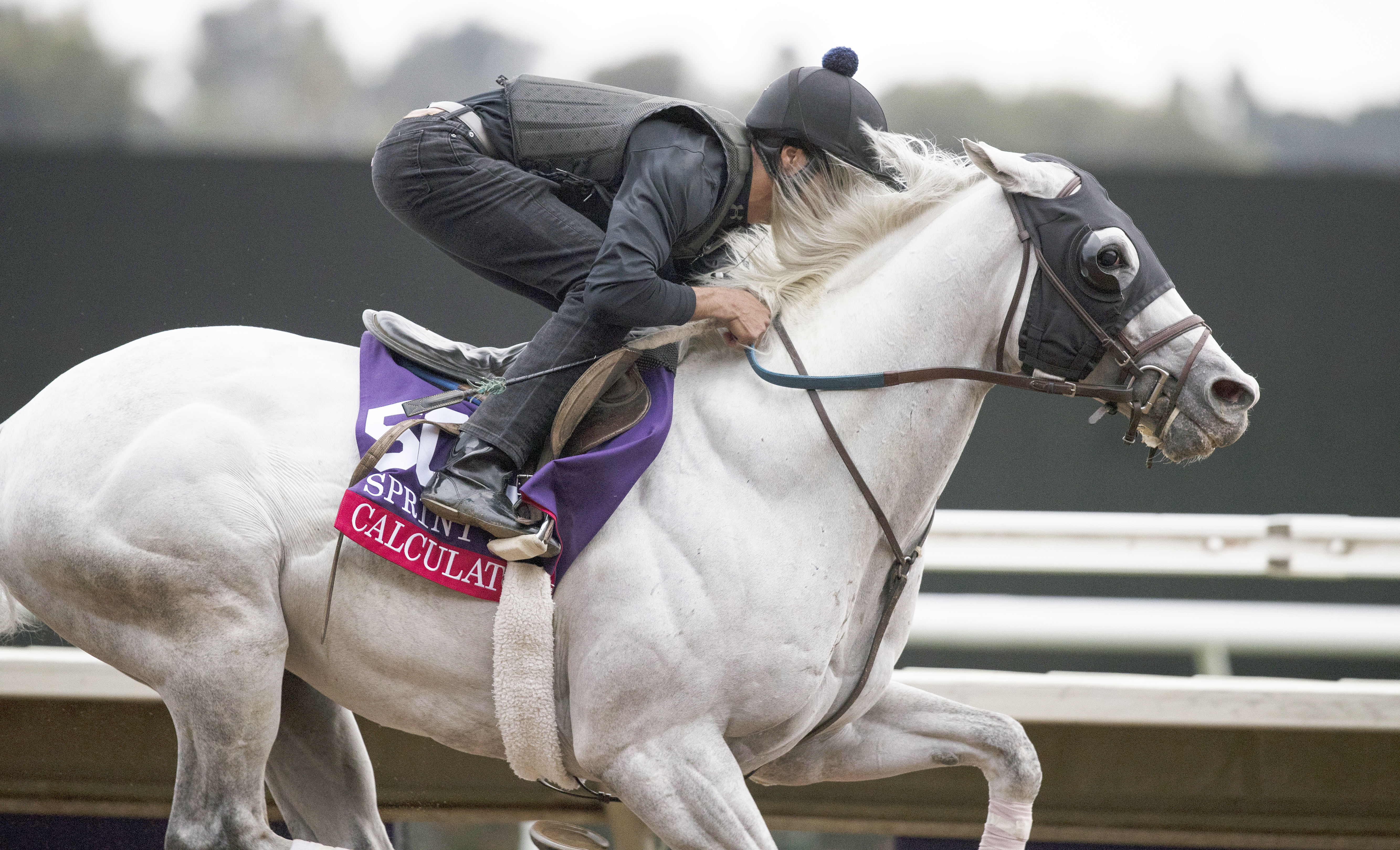 Calculator trains at Del Mar on Oct. 30