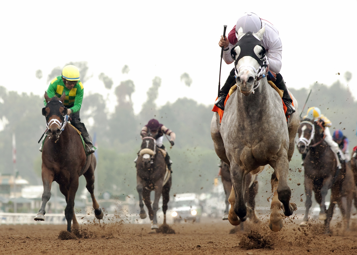 Calculator wins the Sham Stakes