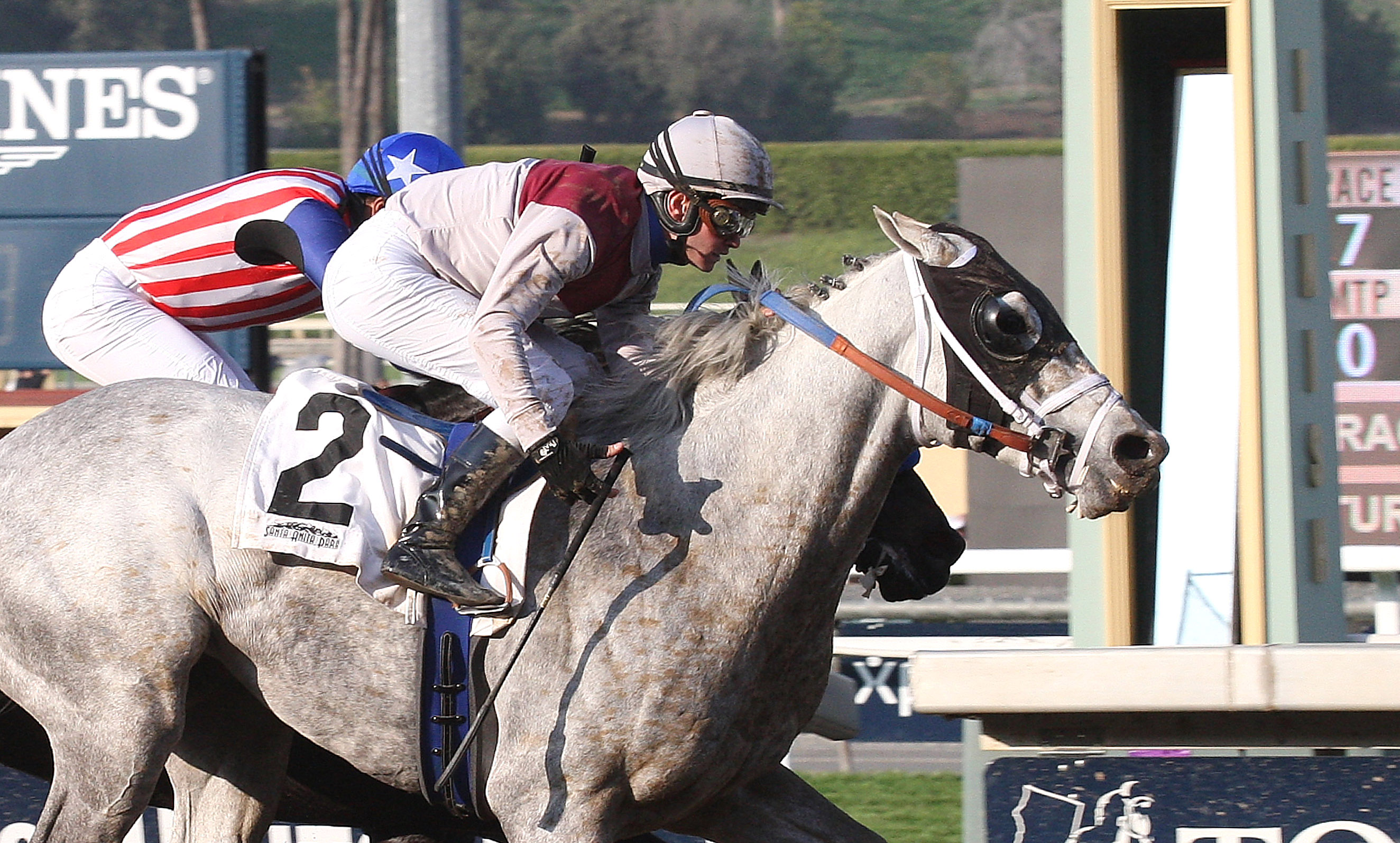 Calculator wins an optional claiming race on Feb. 13