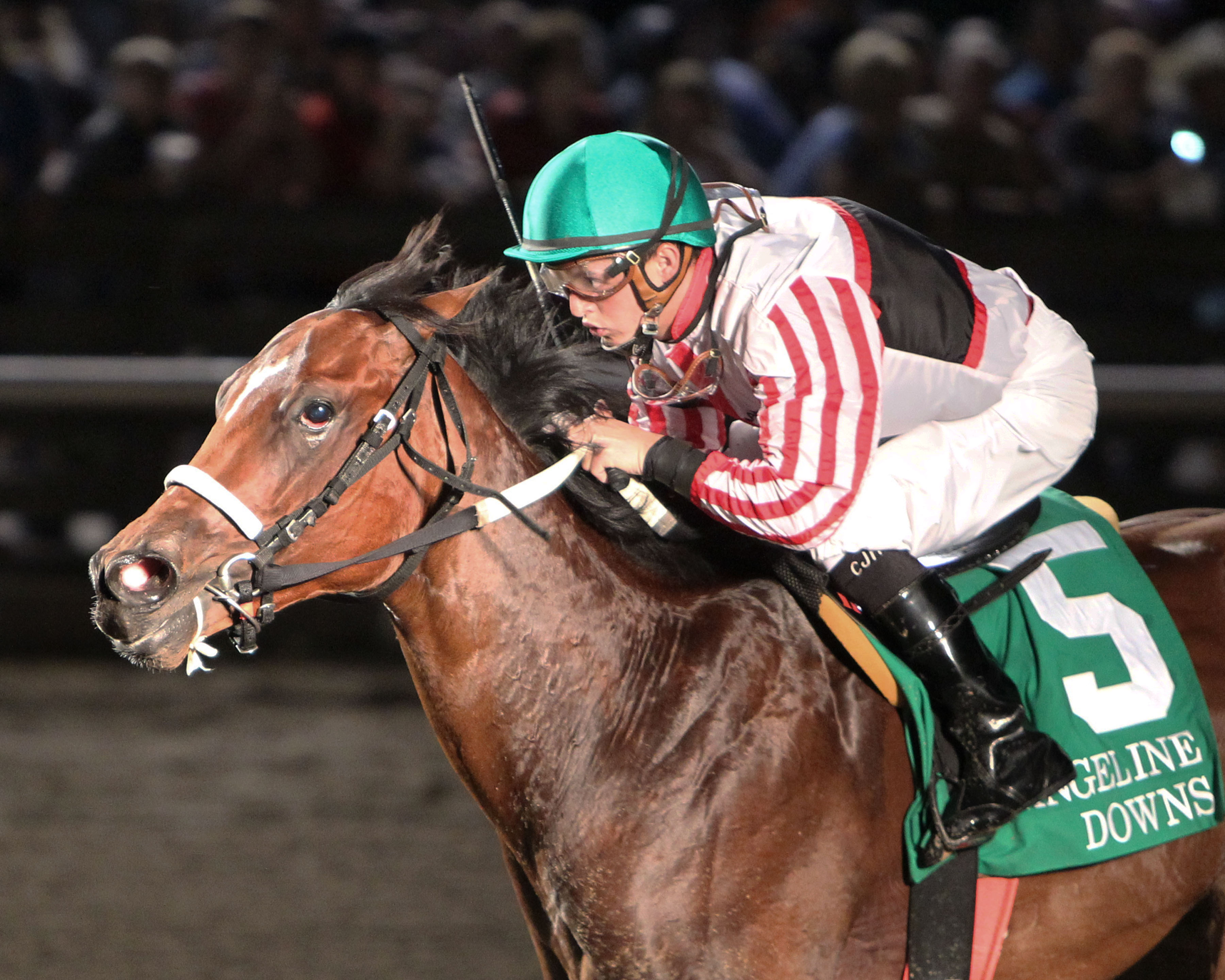 Cale's Gold wins 2015 Shine Futurity