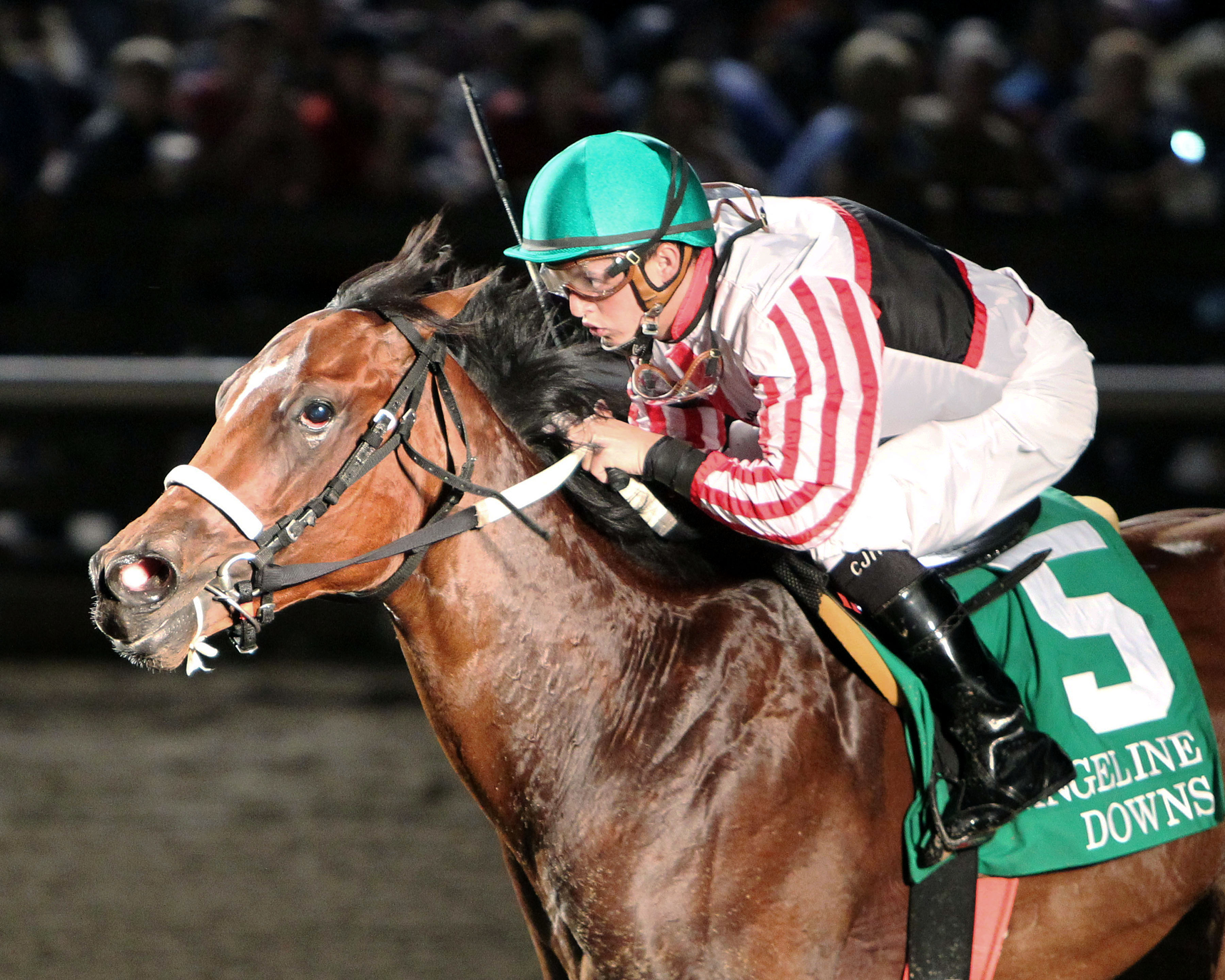 Colby Hernandez wins the D.S. "Shine" Young Futurity
