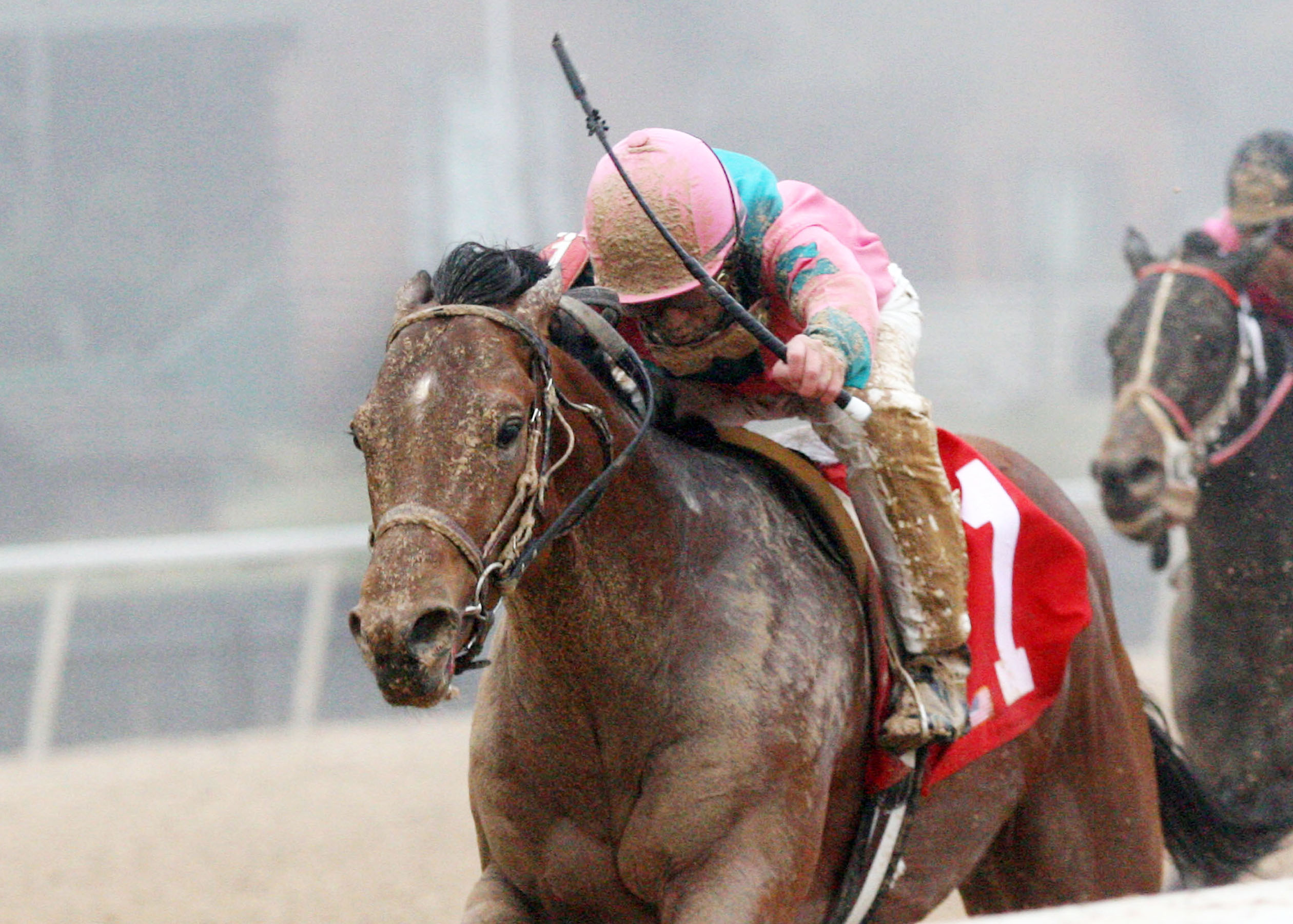 Caleb's Posse, 2011 Smarty Jones