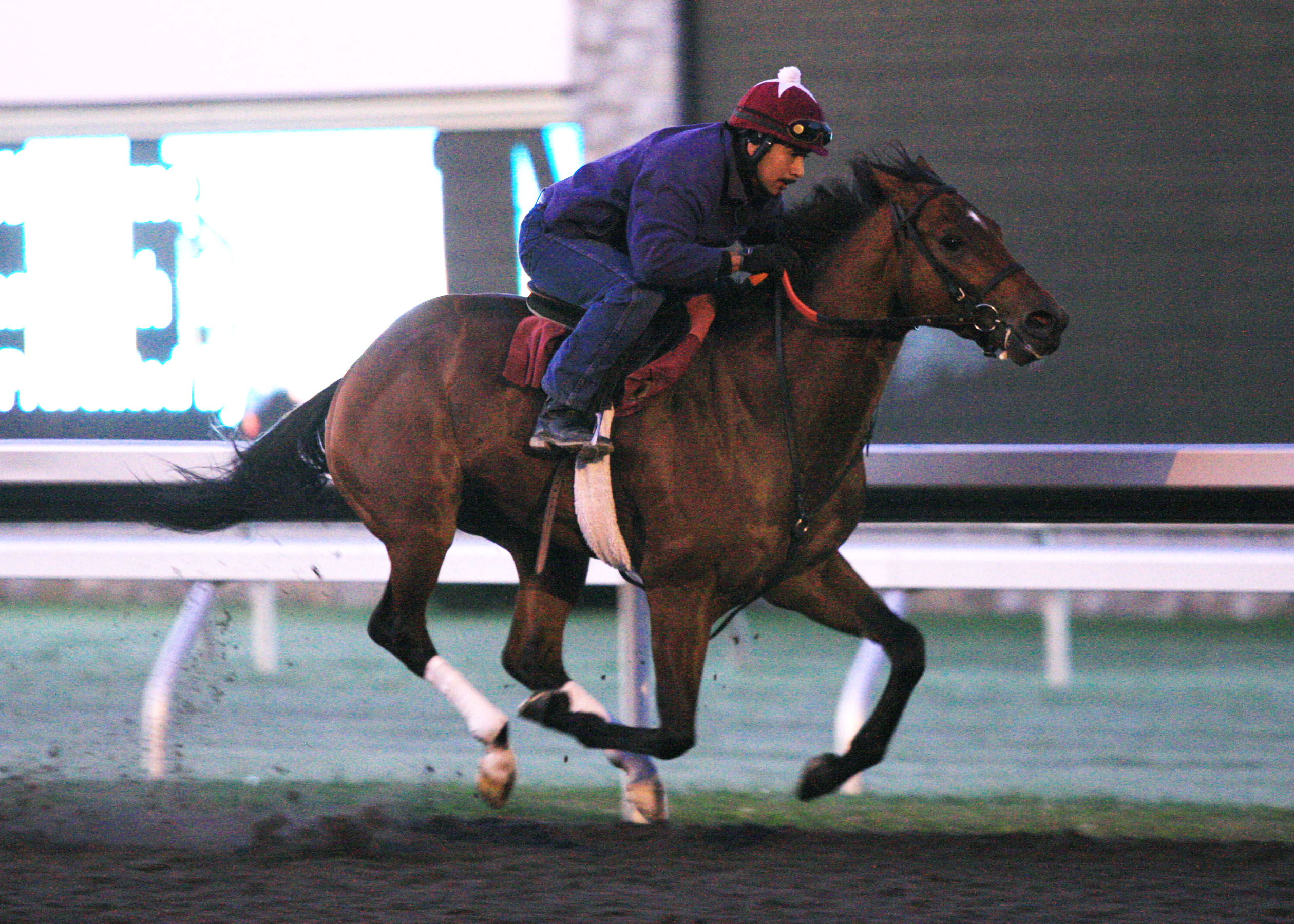 Caleb's Posse/Keeneland work