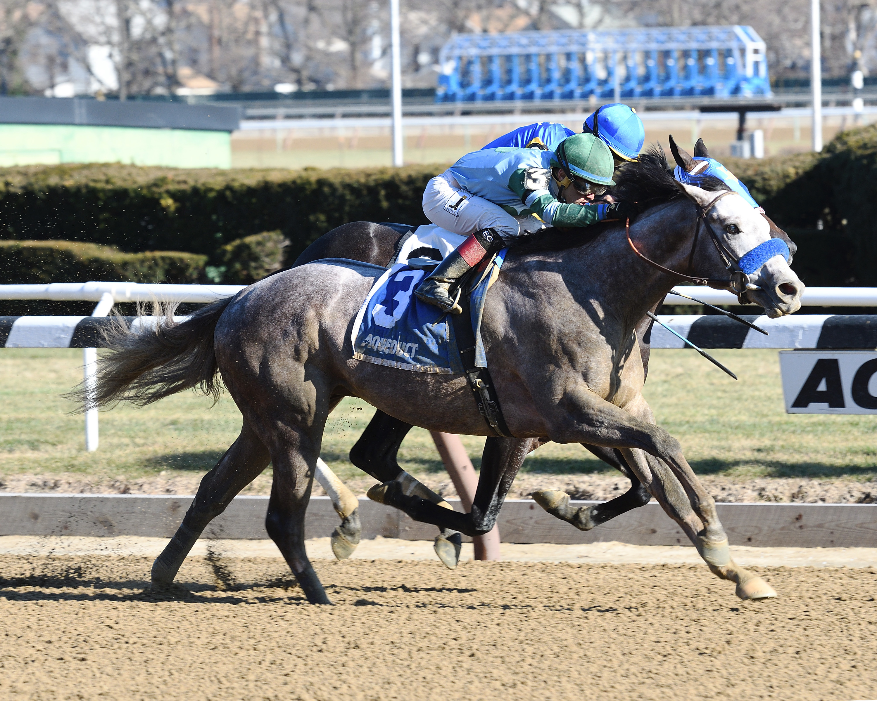 Caledonian wins the Lost In the Fog Stakes