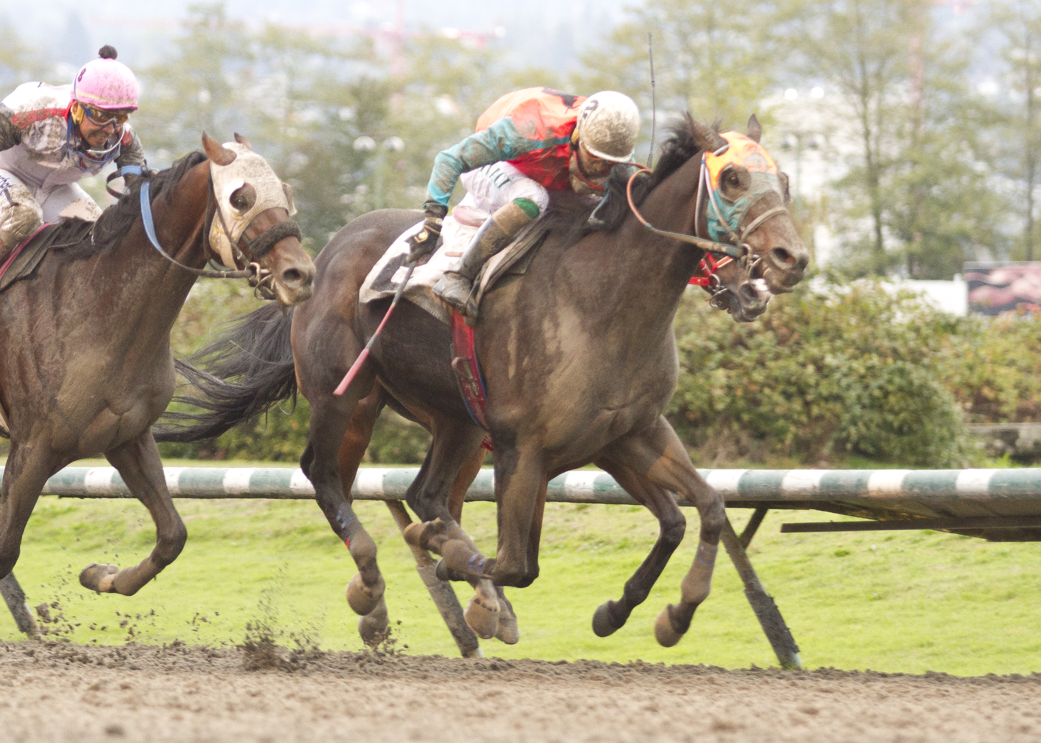 Calgary Caper