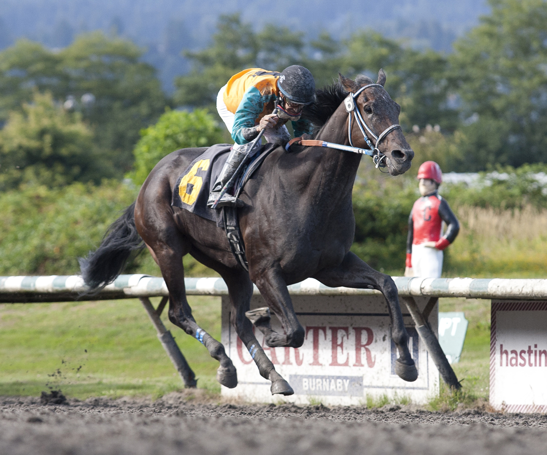 Calgary Caper wins the Pacific Customs Brokers Classic Handicap