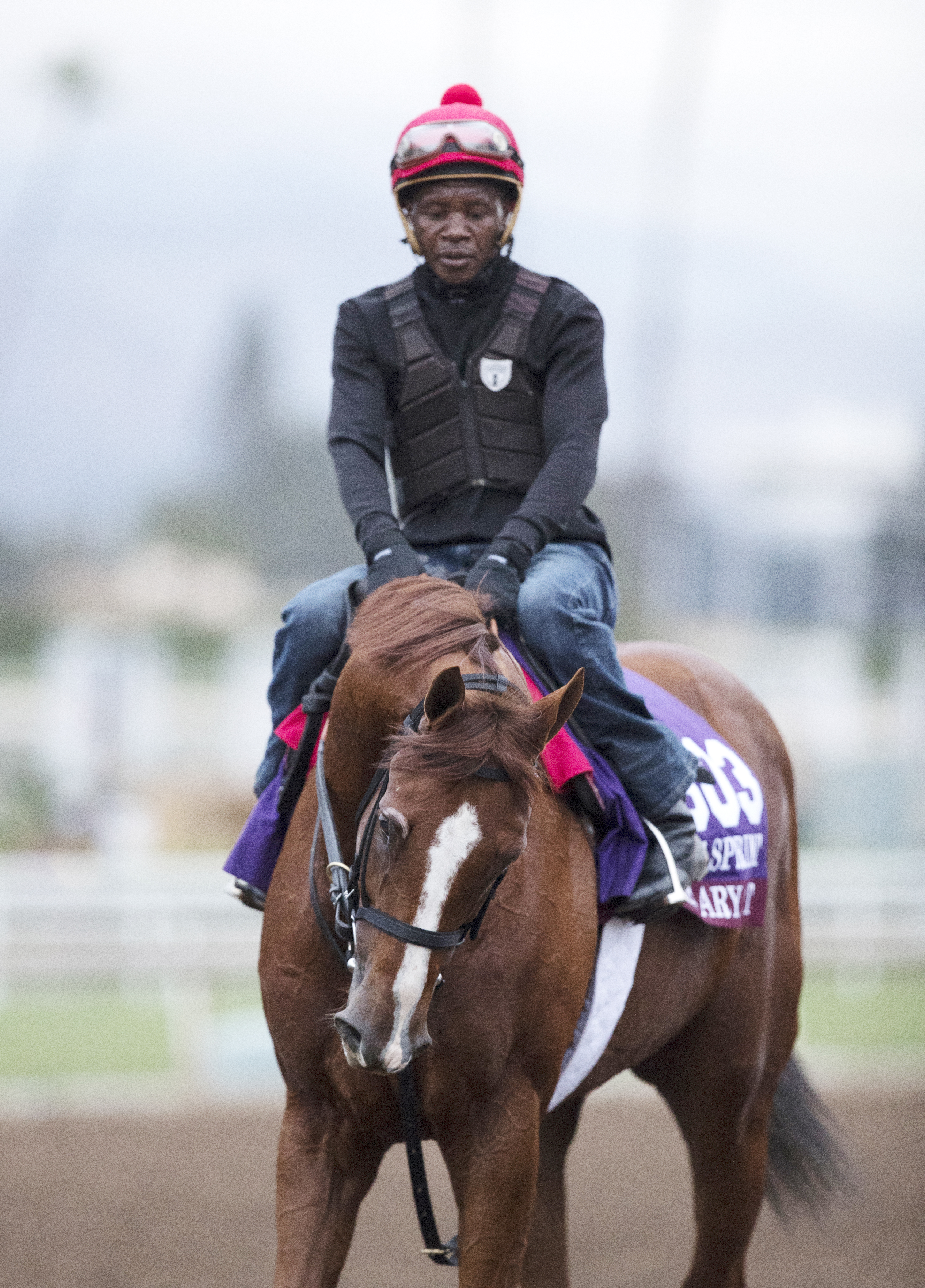 Calgary Cat at Santa Anita Park on Oct. 30
