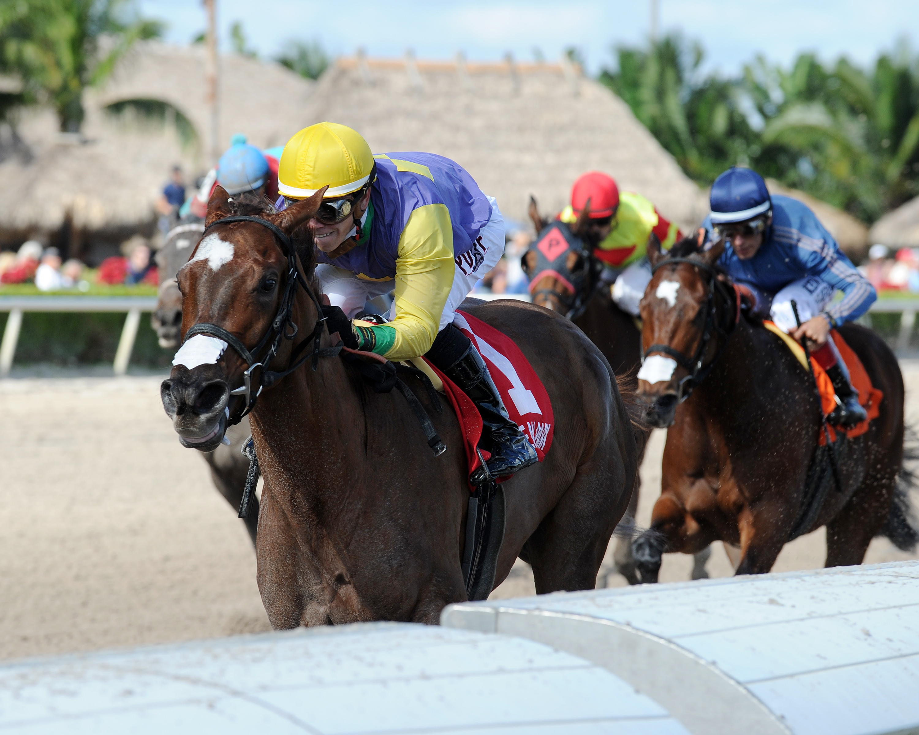 Cali Star 12-12-2015
