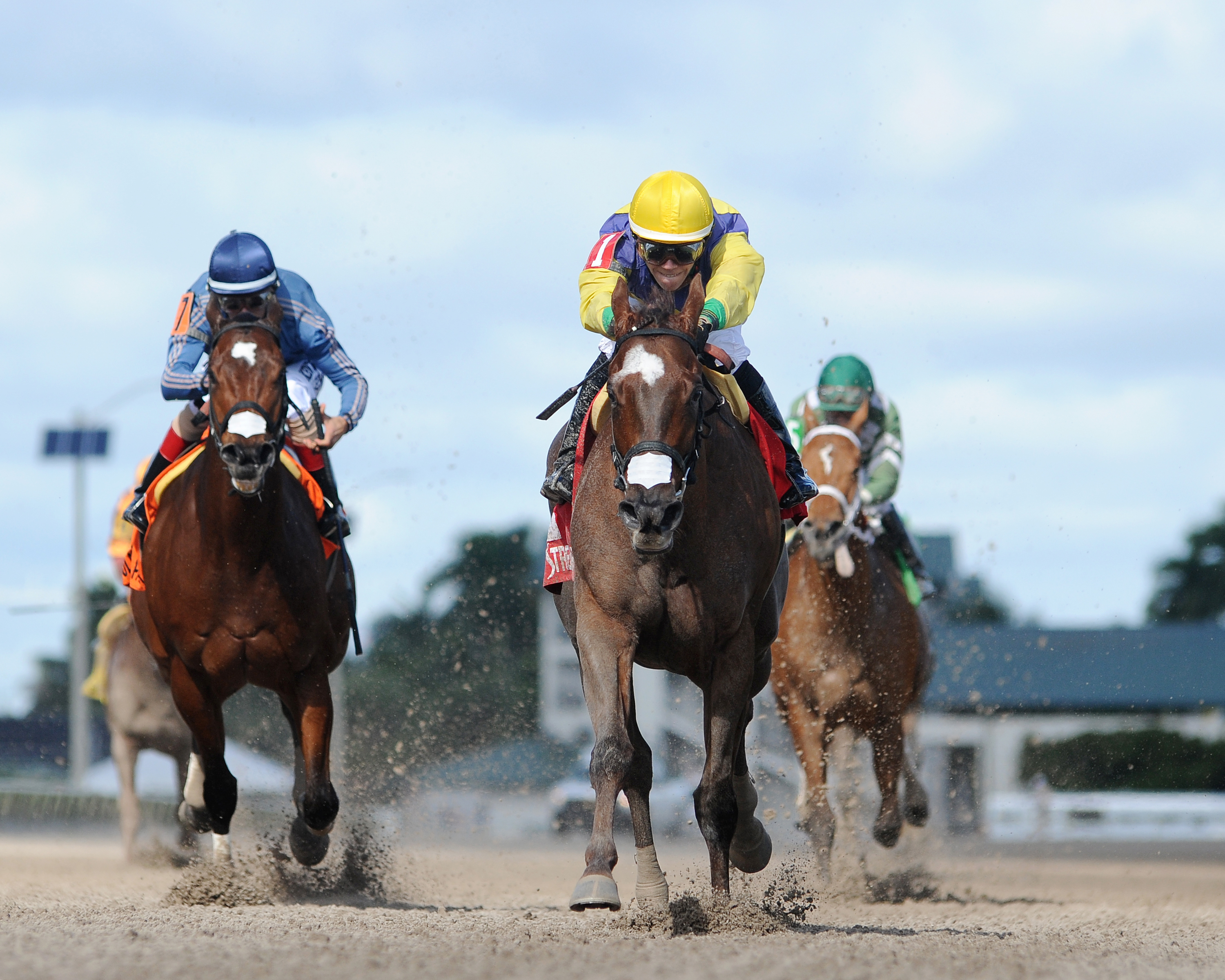 Cali Star wins the Rampart Stakes