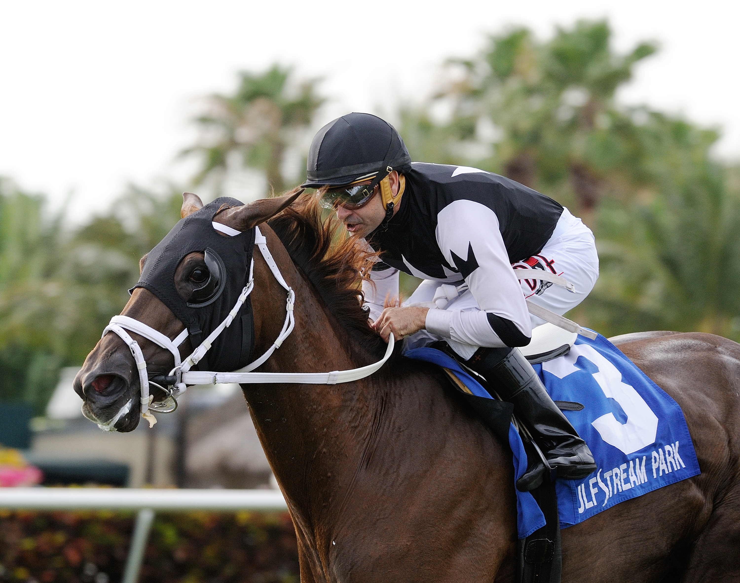 Cali Thirty Seven wins the Powder Break Stakes