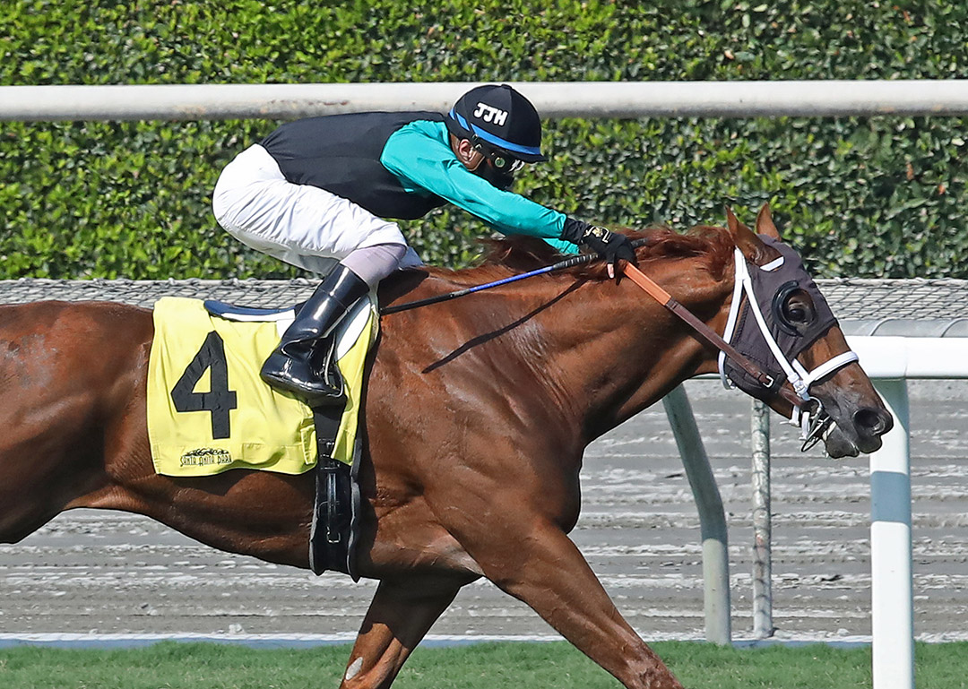 Cali Caliente wins a Sept. 27 allowance race at Santa Anita Park