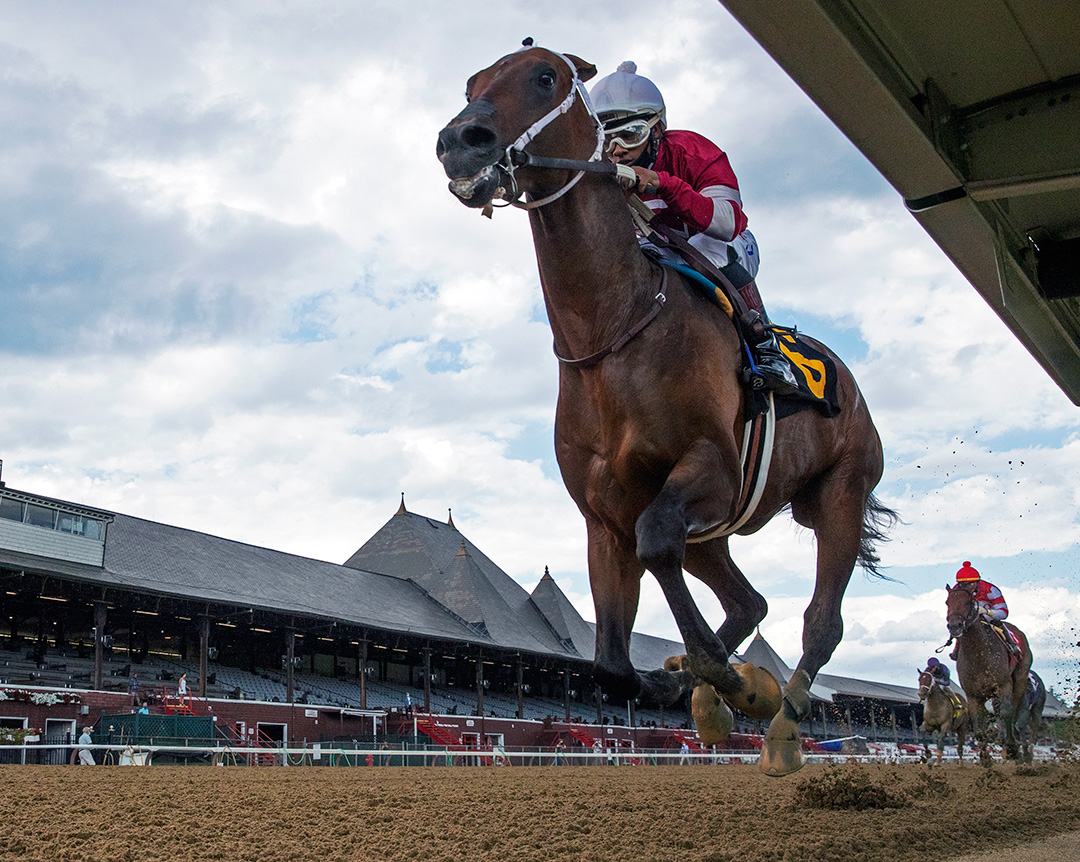 Calibrate wins an Aug. 15 maiden race at Saratoga