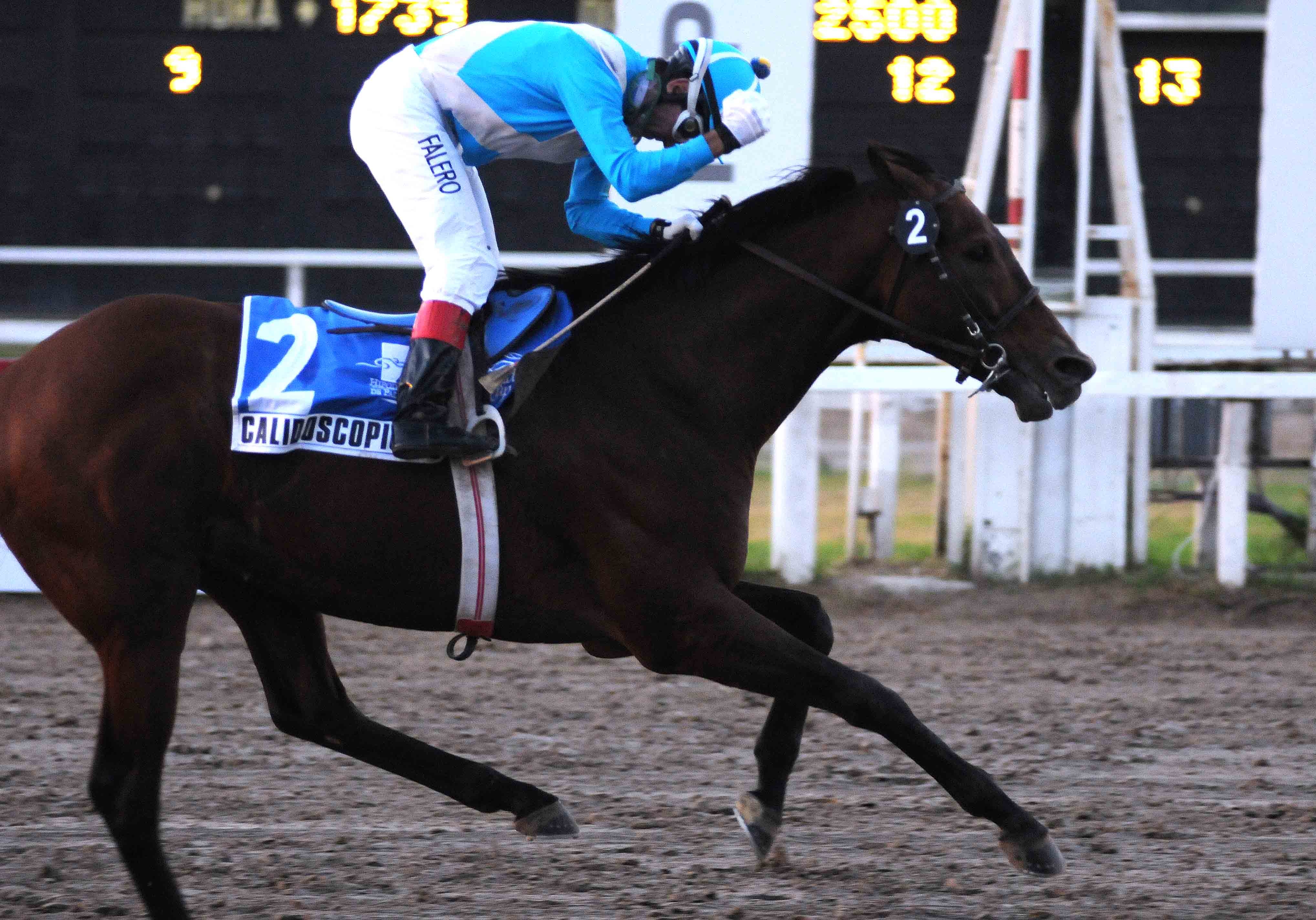 Breeders' Cup berths awarded to winners in Japan, France, Argentina
