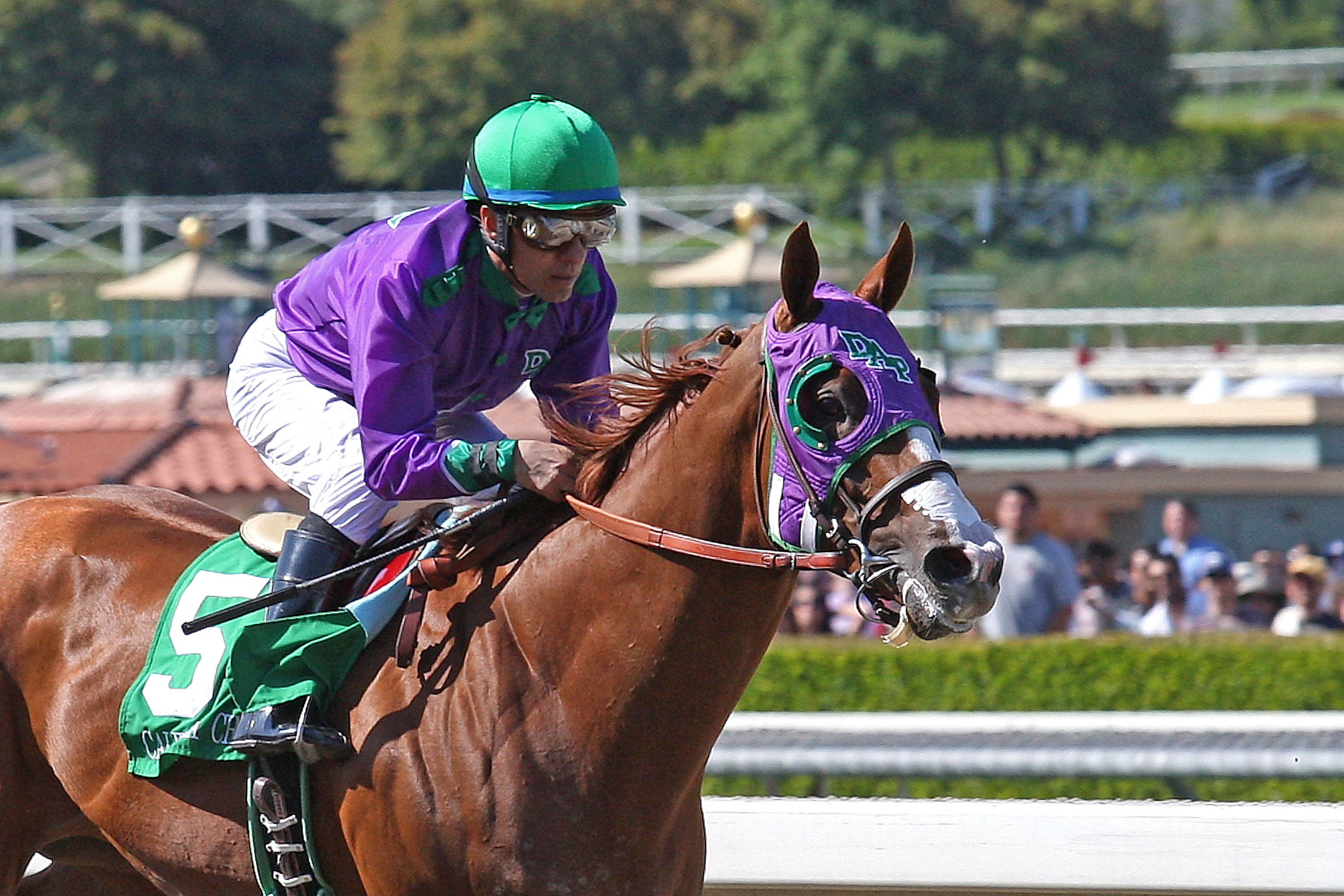 California Chrome 4-5-14
