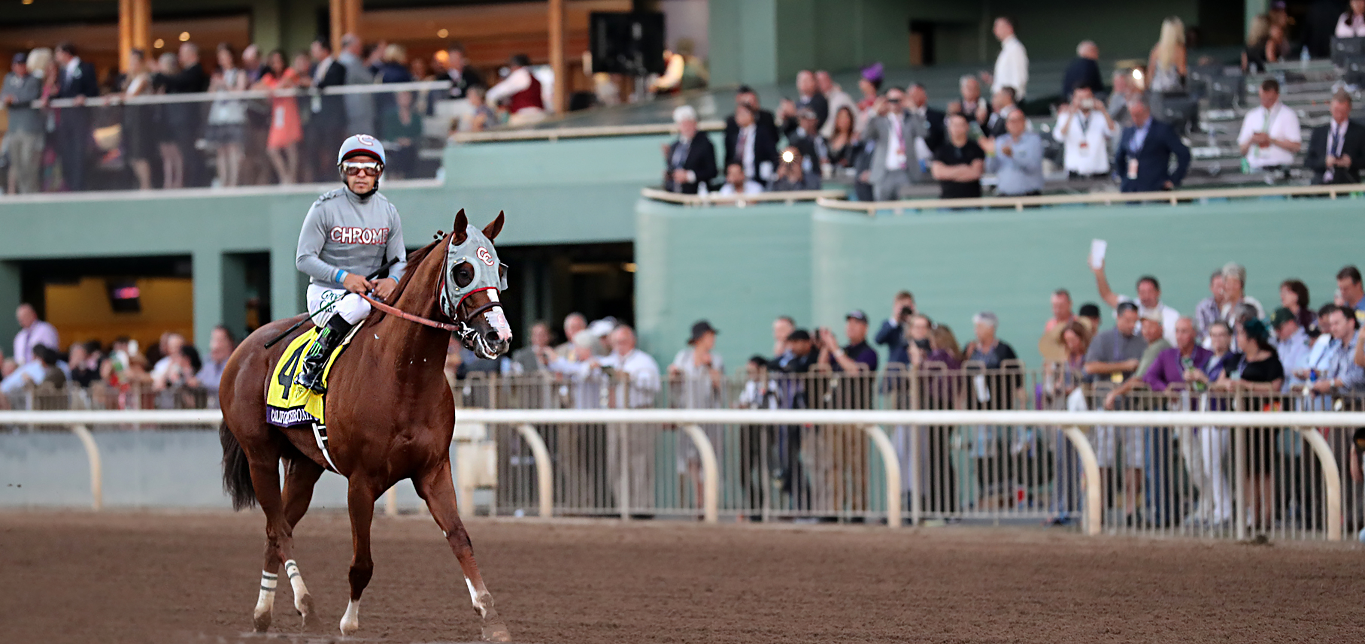 California Chrome 11-5-2016