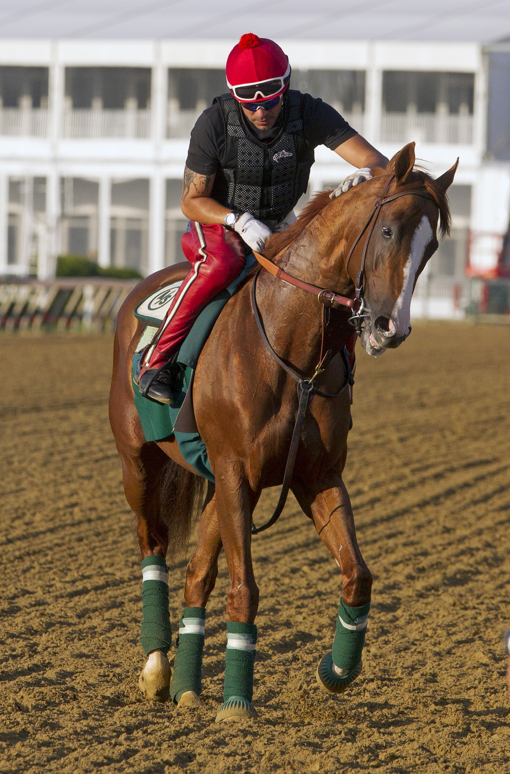 California Chrome