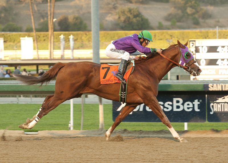 California Chrome 1-25-2013