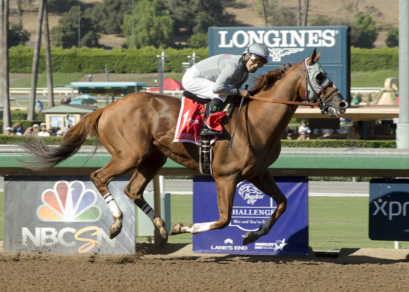 California Chrome 10-1-2016