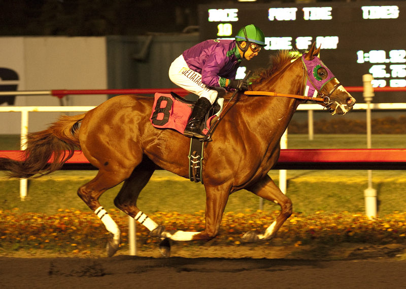 California Chrome