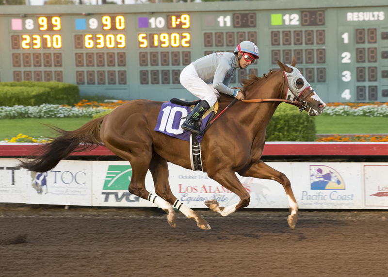 California Chrome 12-17-2016