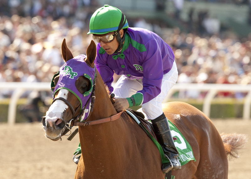 California Chrome
