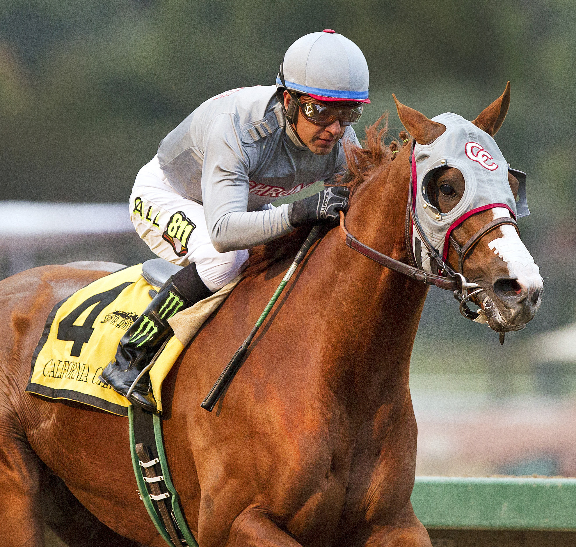 California Chrome 1-9-2016