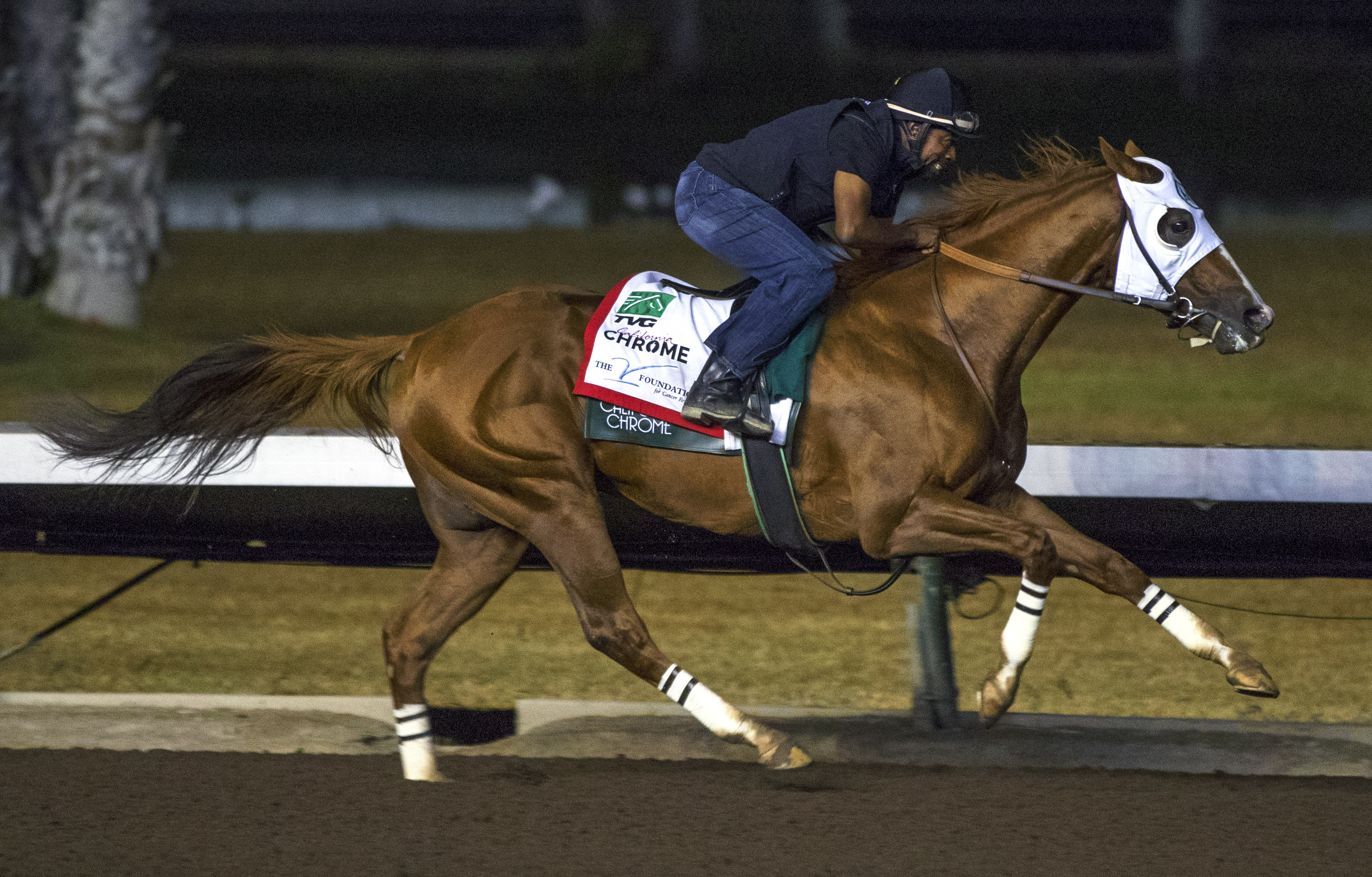 California Chrome
