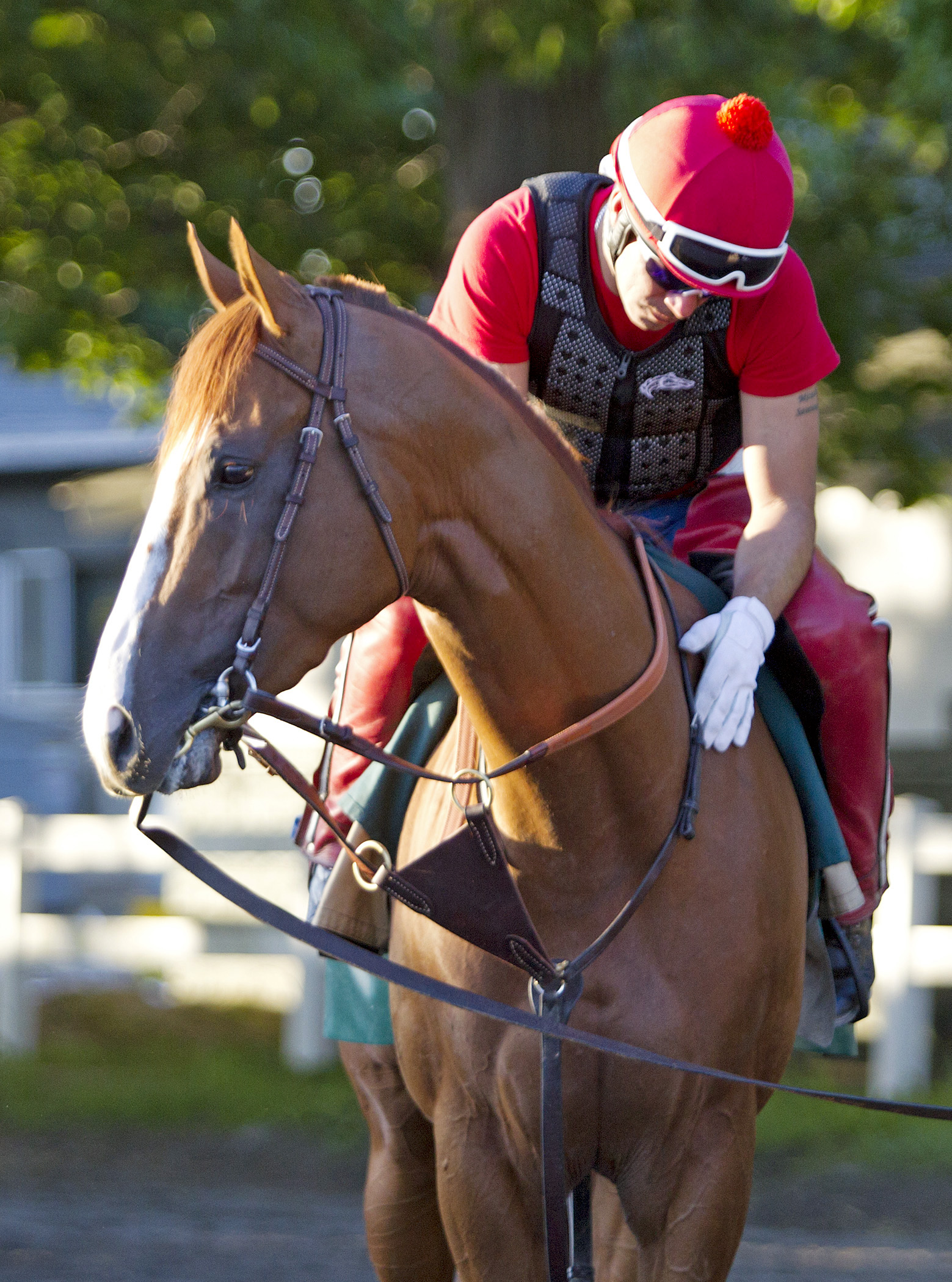California Chrome with Willie Delgado
