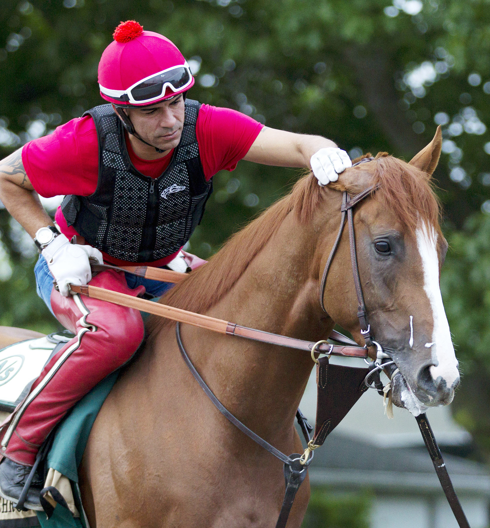 California Chrome with Willie Delgado