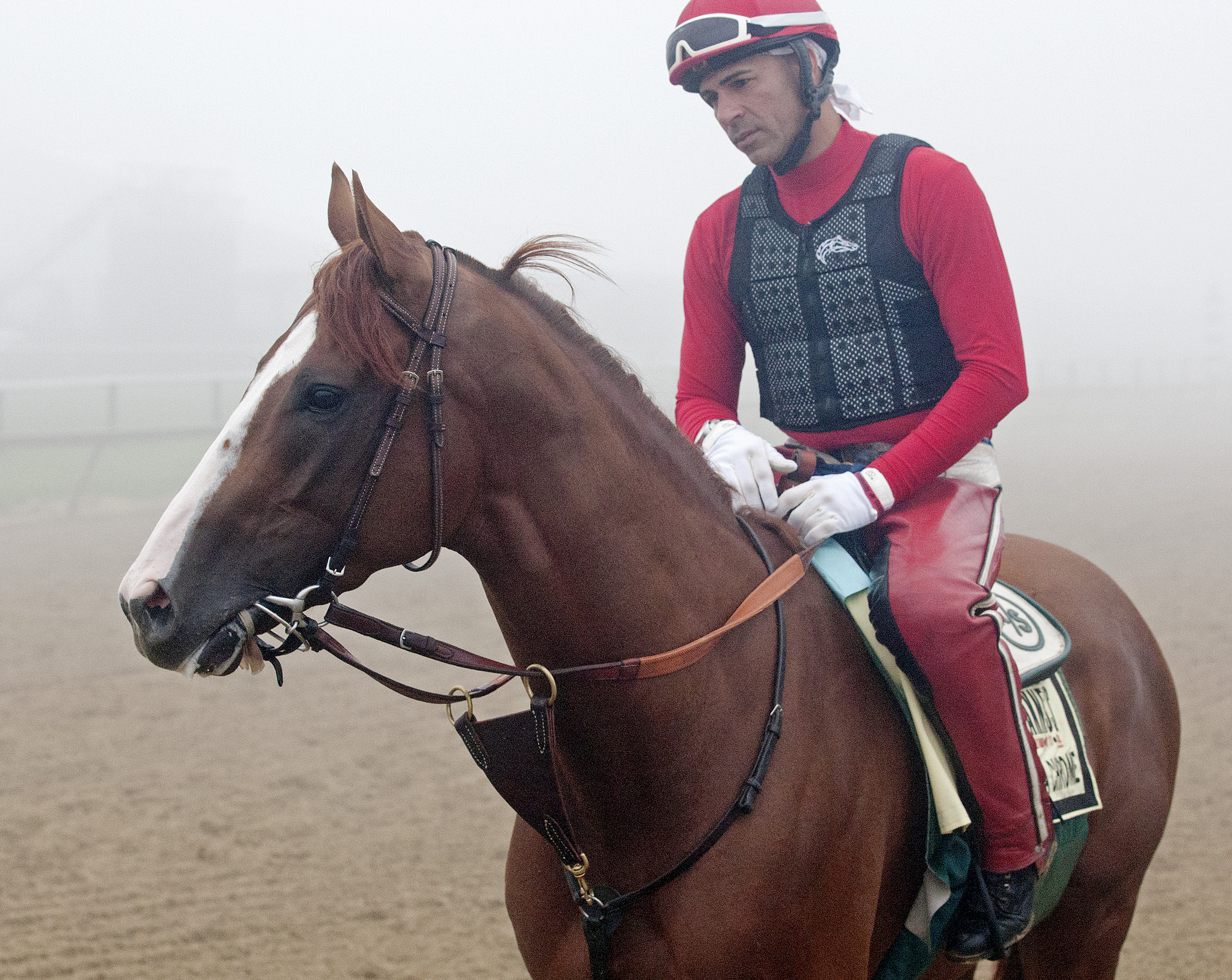 california chrome, Willie Delgado