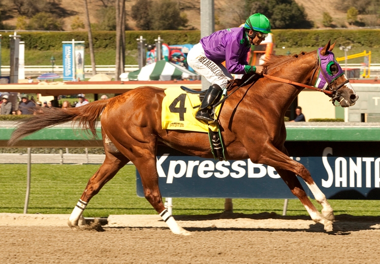 California Chrome, San Felipe