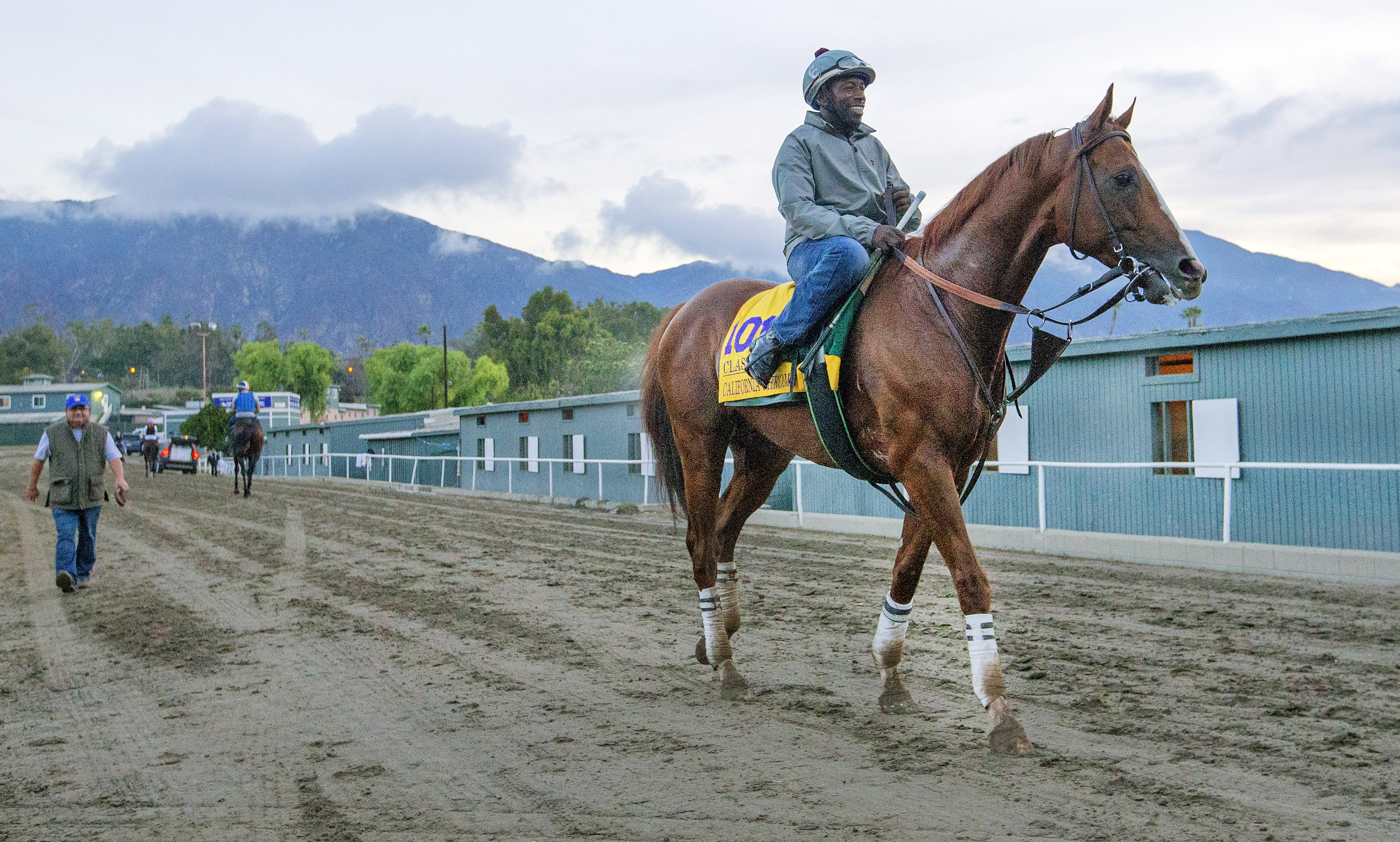 California Chrome at Santa Anita on Oct. 31