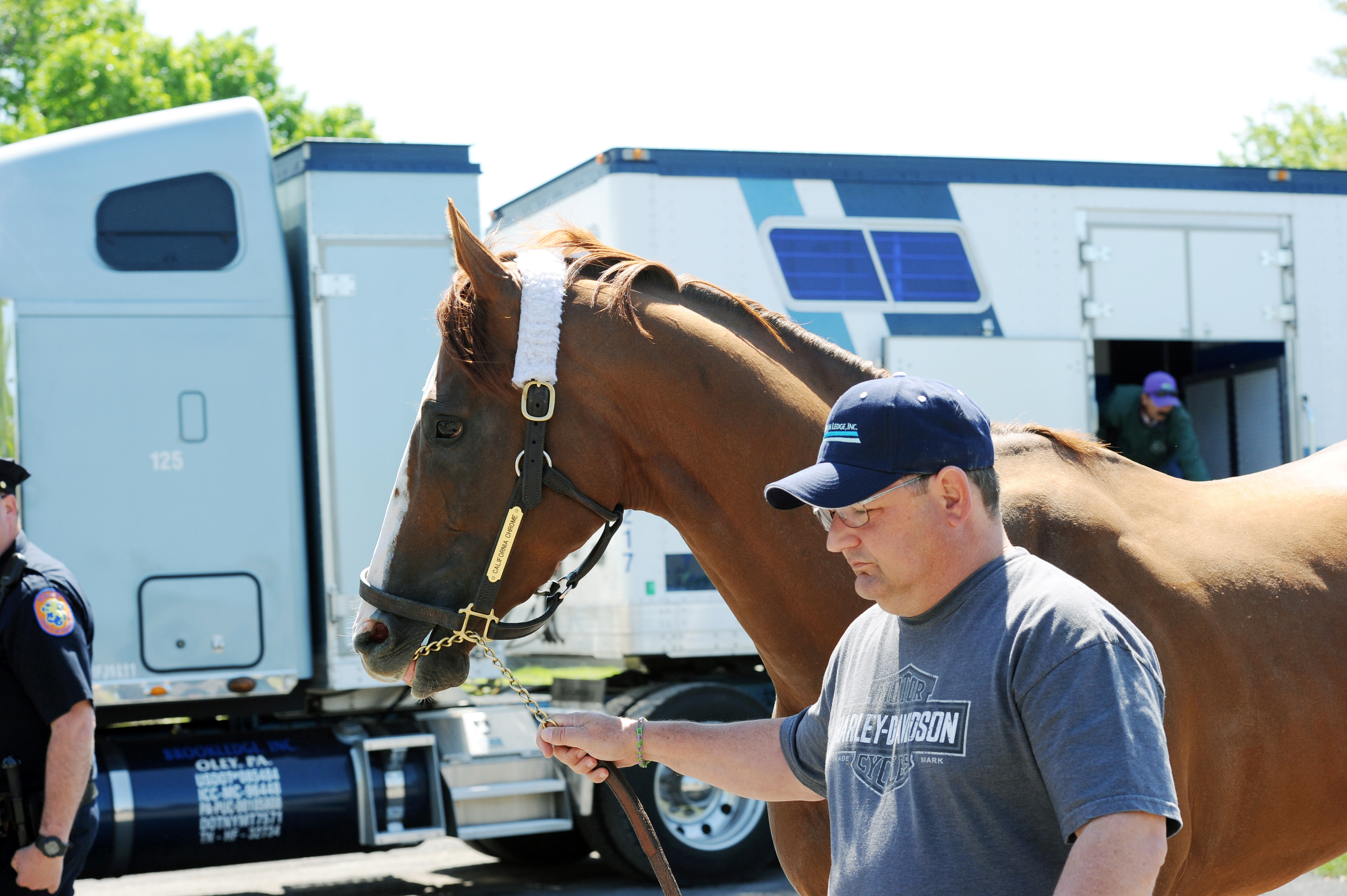 Assistant trainer Alan Sherman with California Chrome