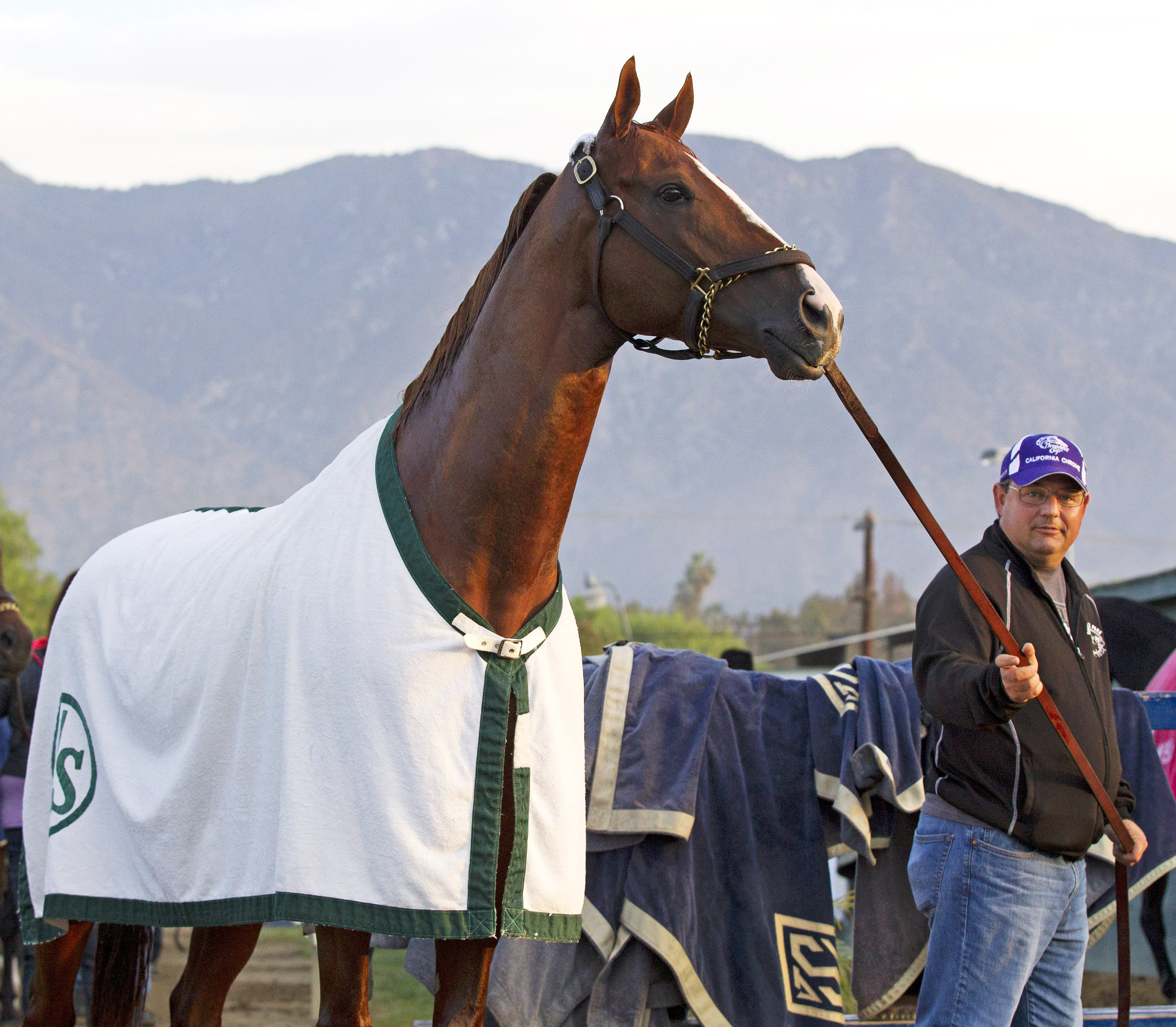 California Chrome with Alan Sherman