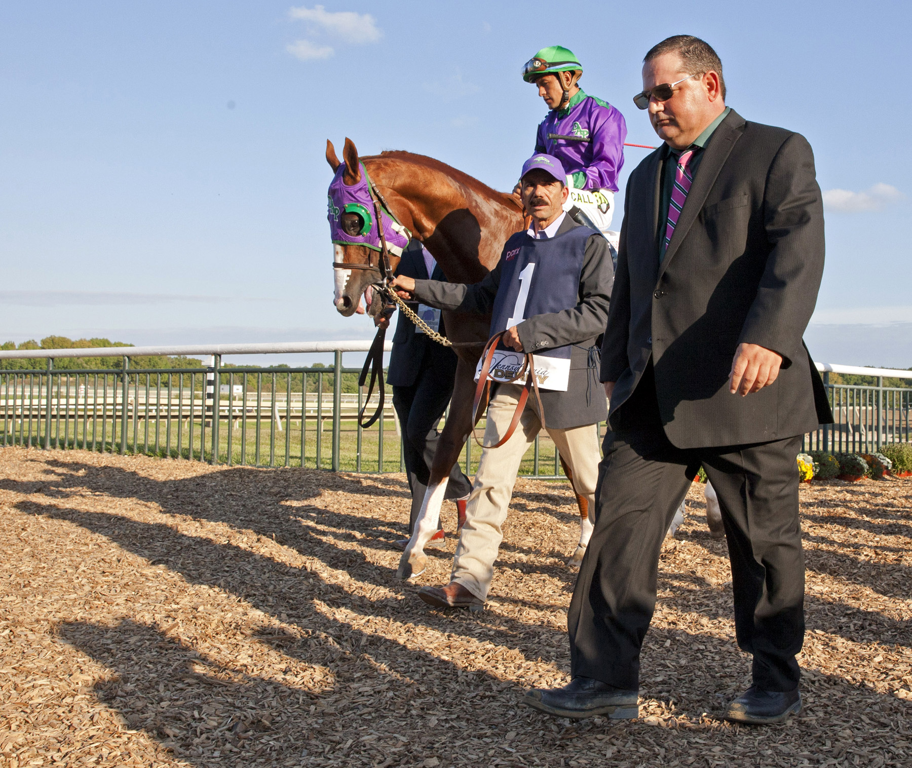 California Chrome with Alan Sherman at Parx