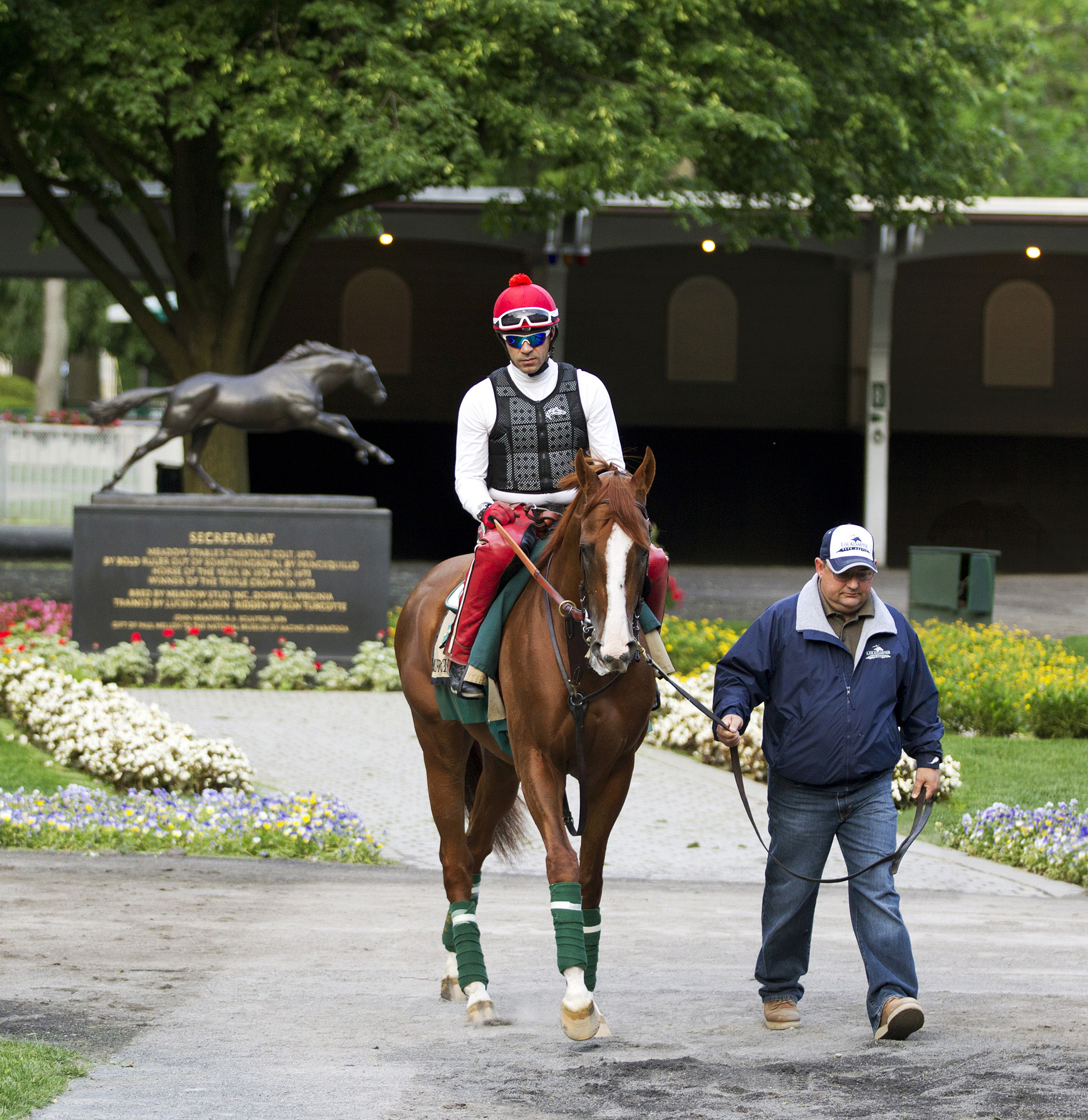 California Chrome visits the Belmont paddock