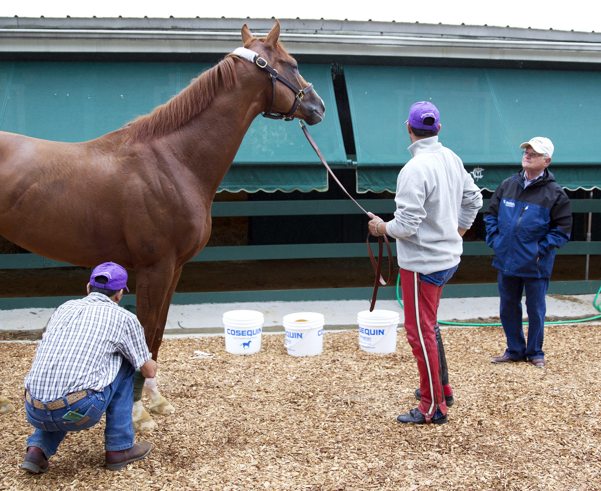 California Chrome with trainer Art Sherman