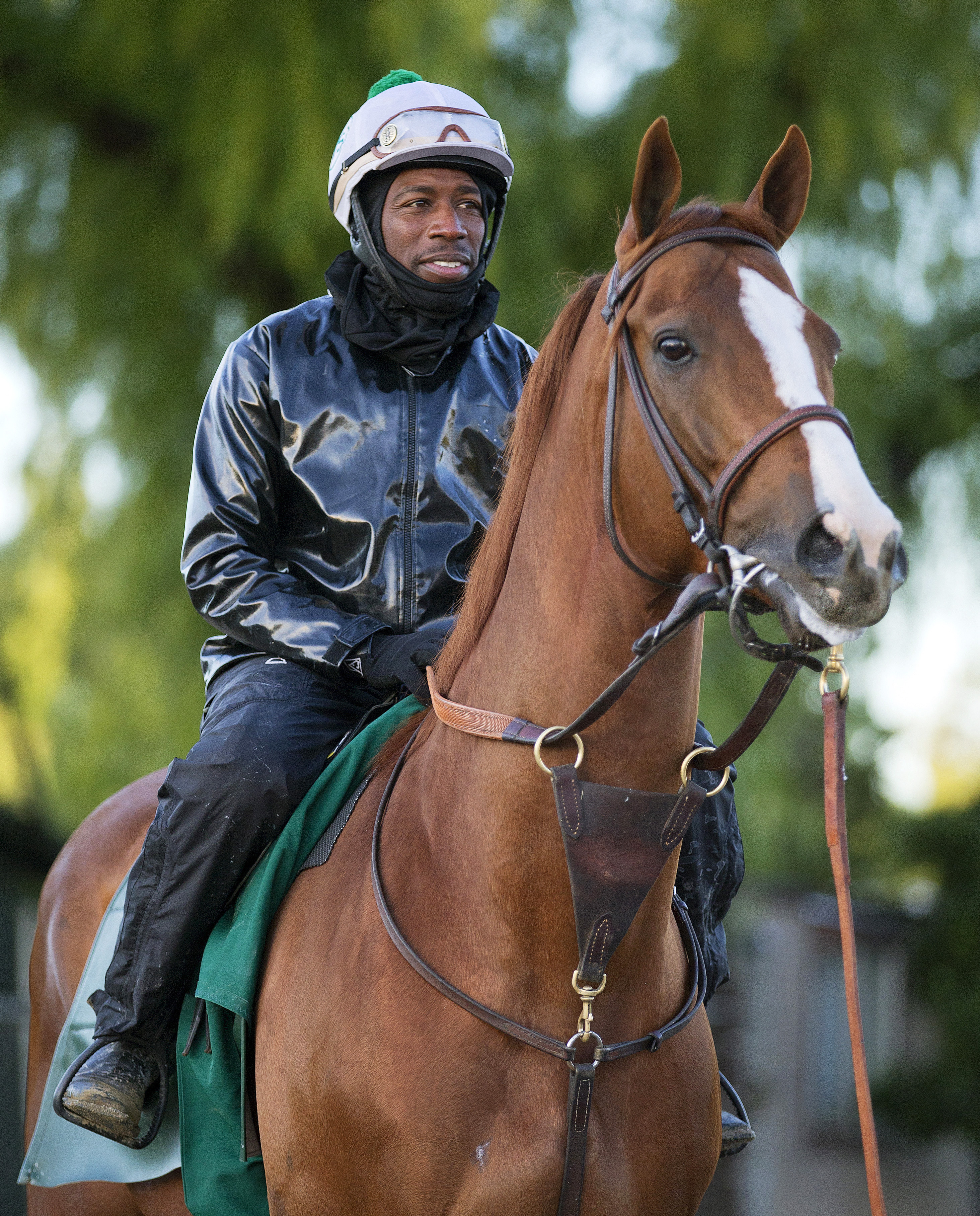California Chrome at Santa Anita on Jan. 6