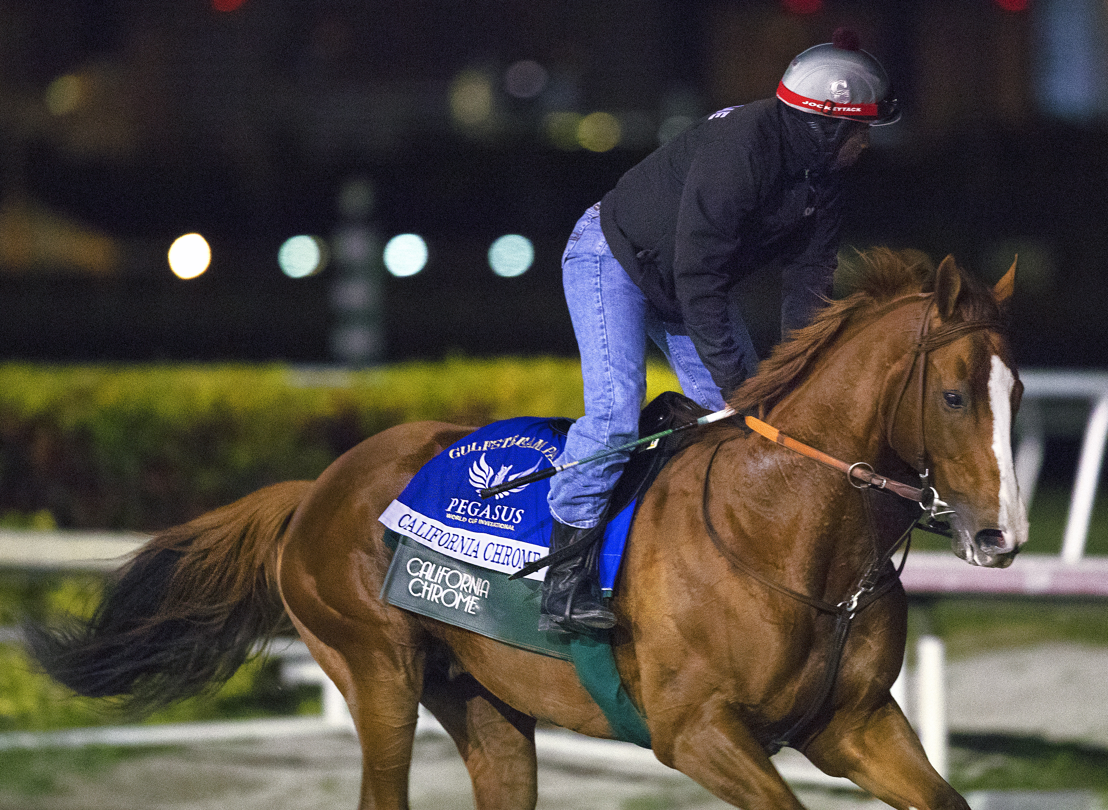 California Chrome at Gulfstream Park on Jan. 9