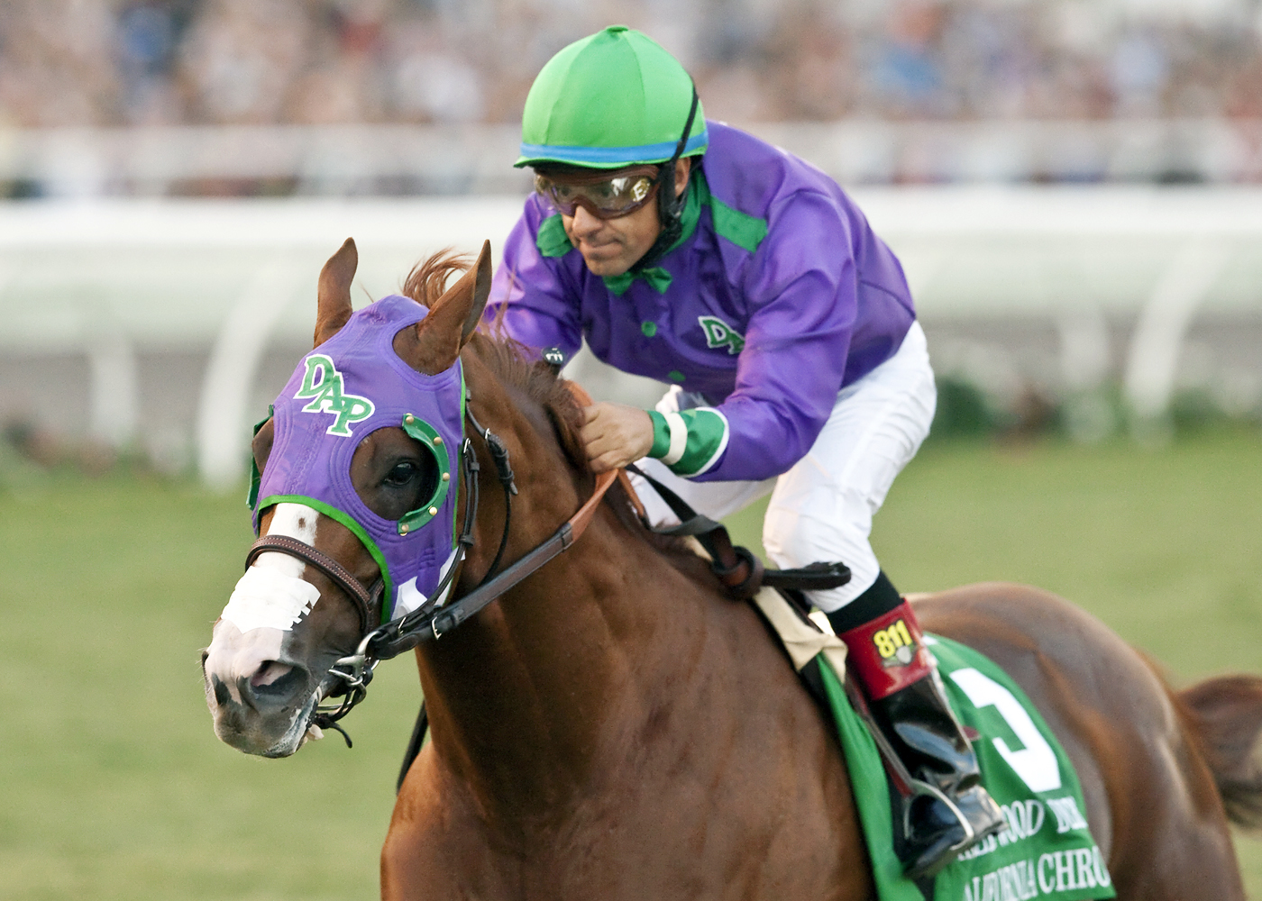 California Chrome wins the Hollywood Derby