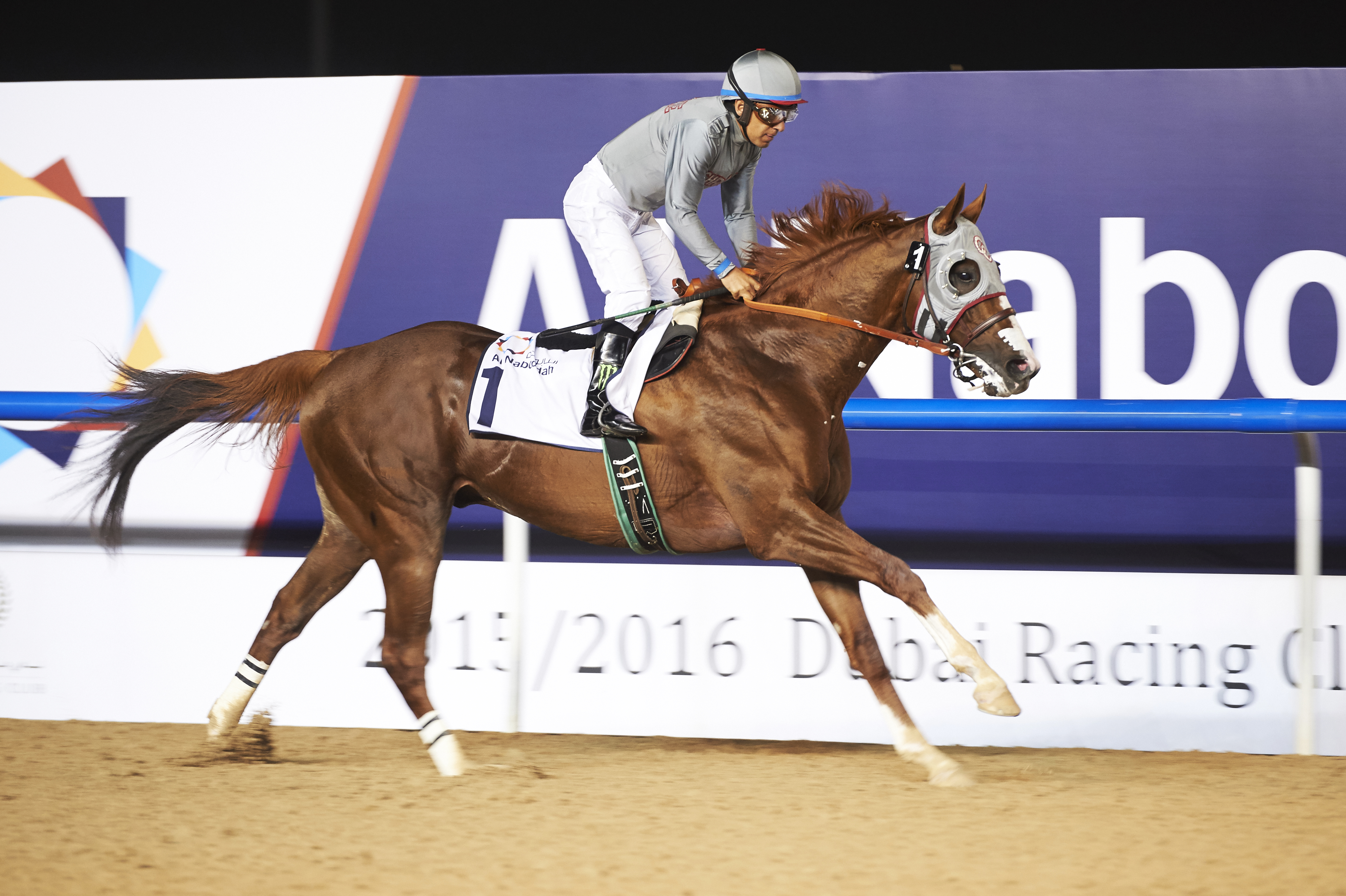 California Chrome wins the Transgulf Electromechanical Trophy Handicap