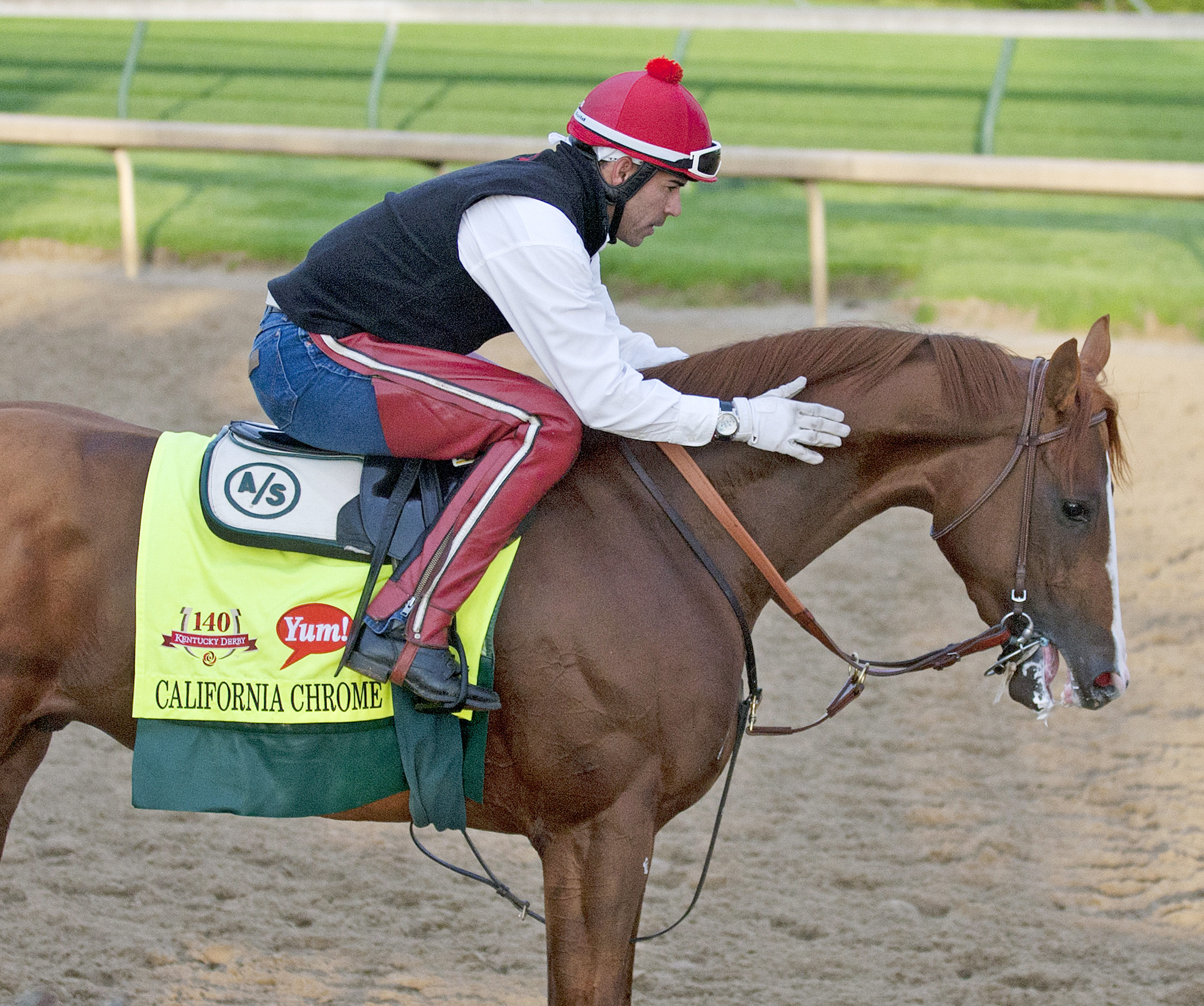 California Chrome on May 1