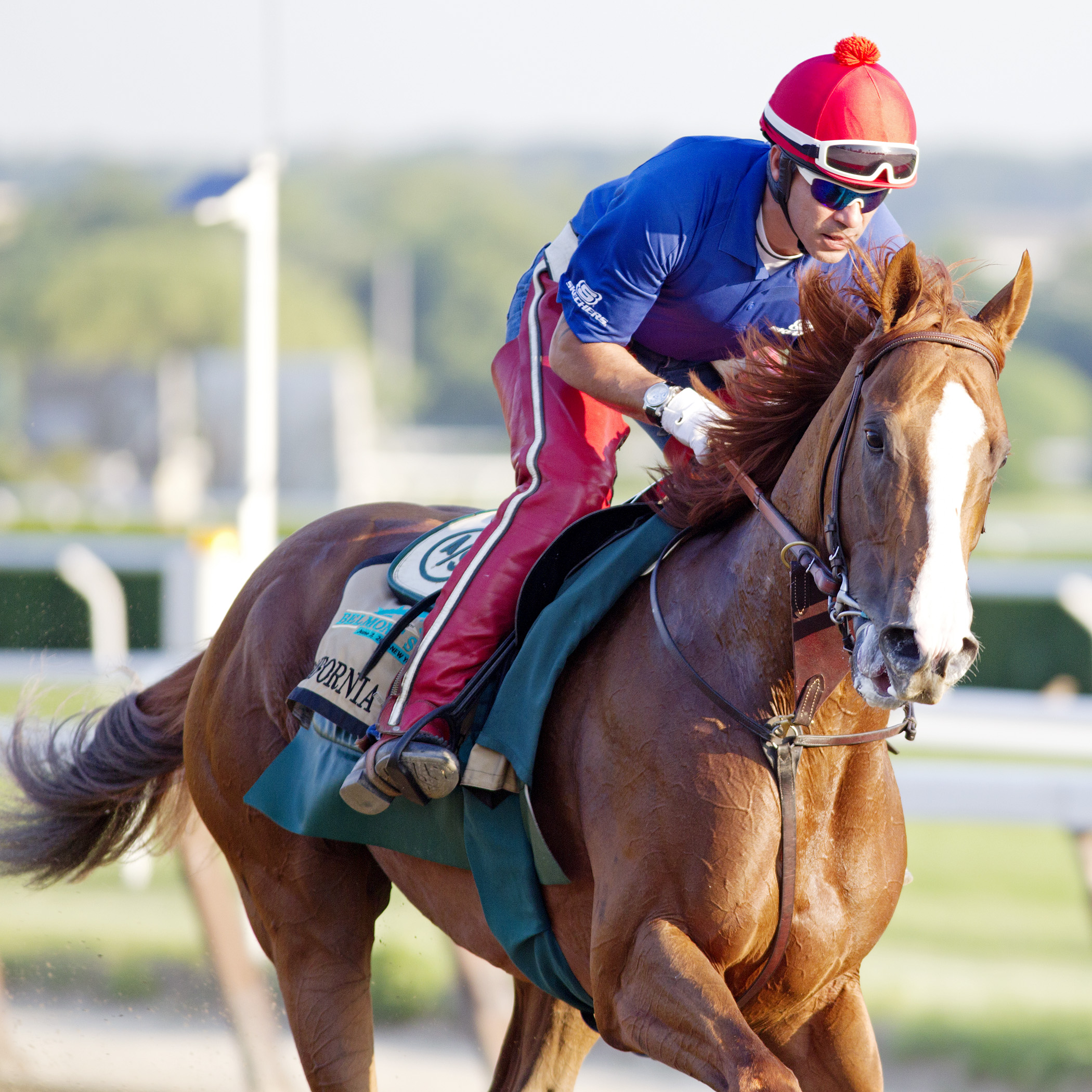 California Chrome