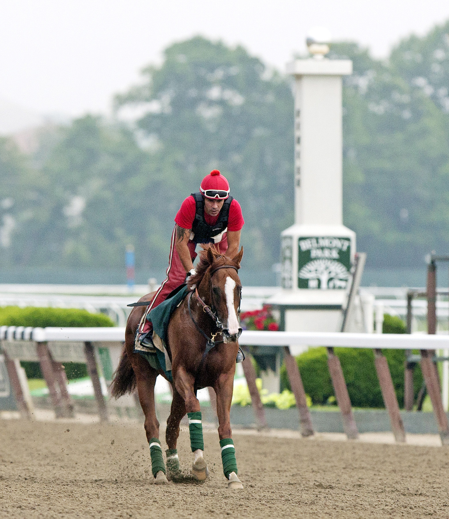 California Chrome on June 4