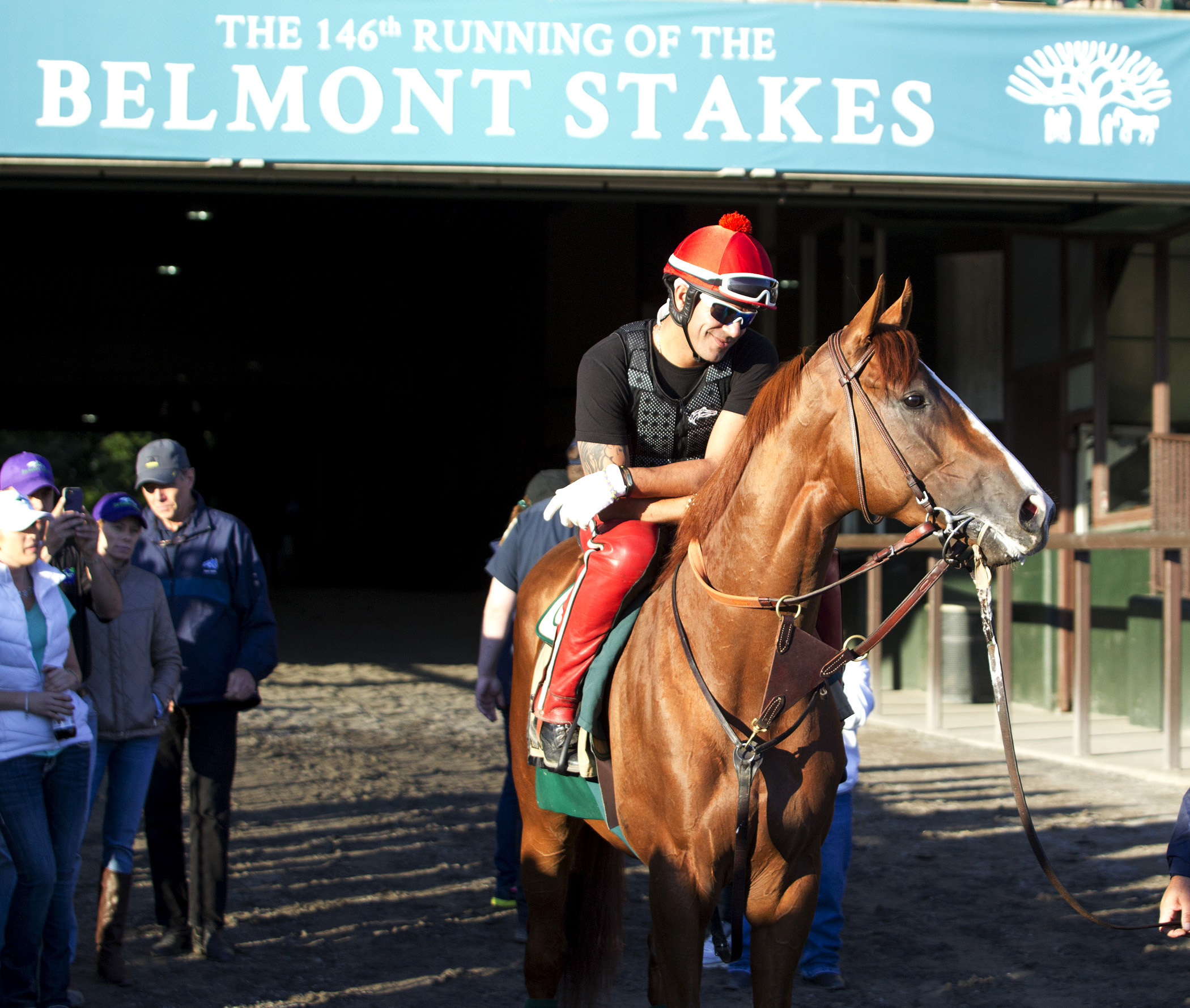 California Chrome exits the tunnel at Belmont