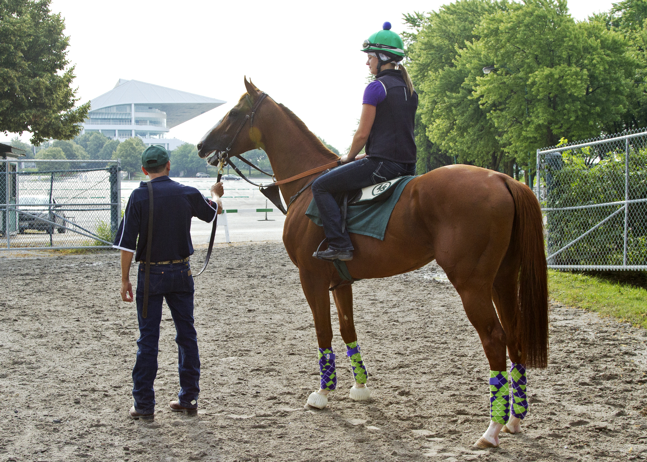 California Chrome at Arlington Park