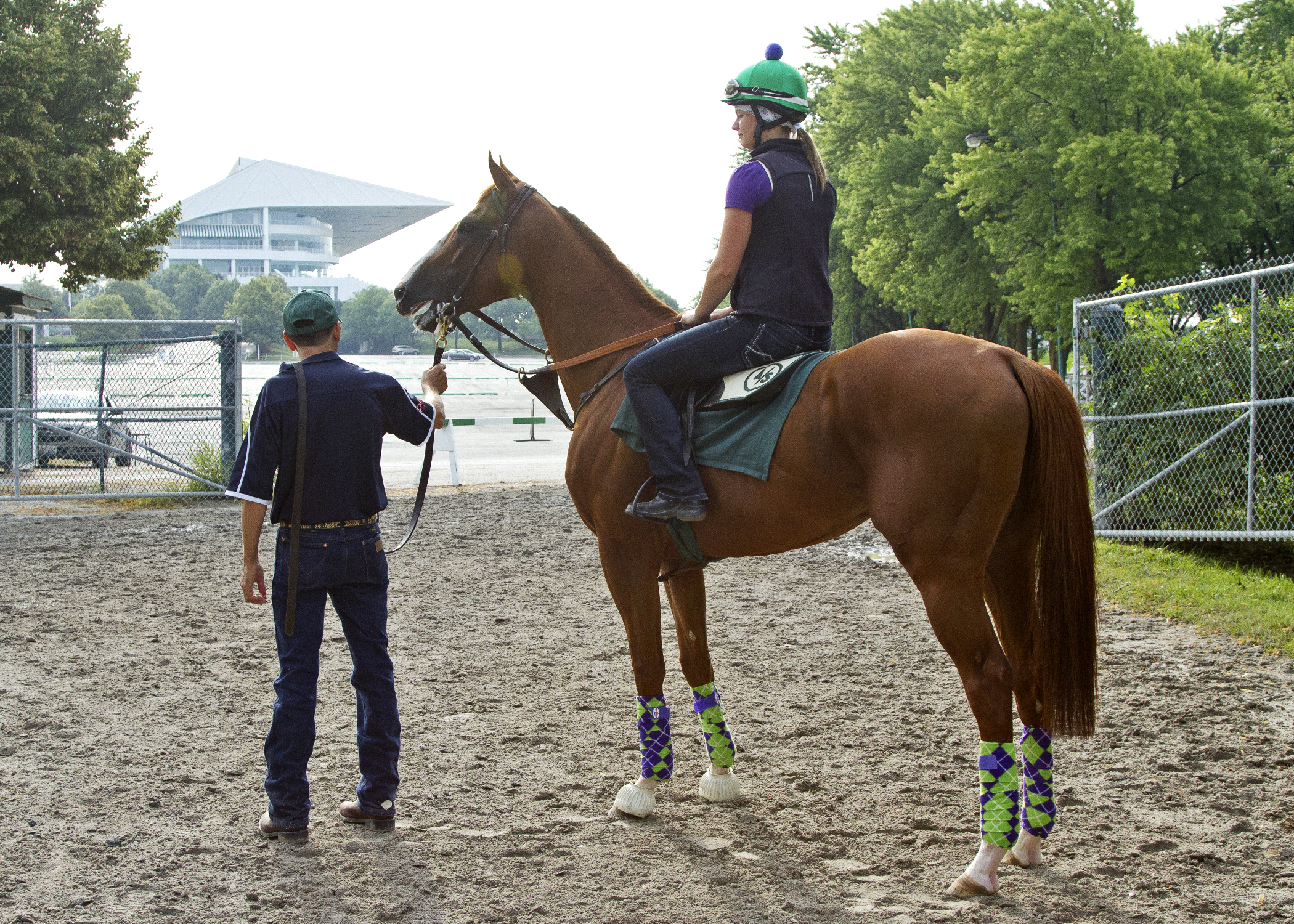 California Chrome at Arlington Park in July
