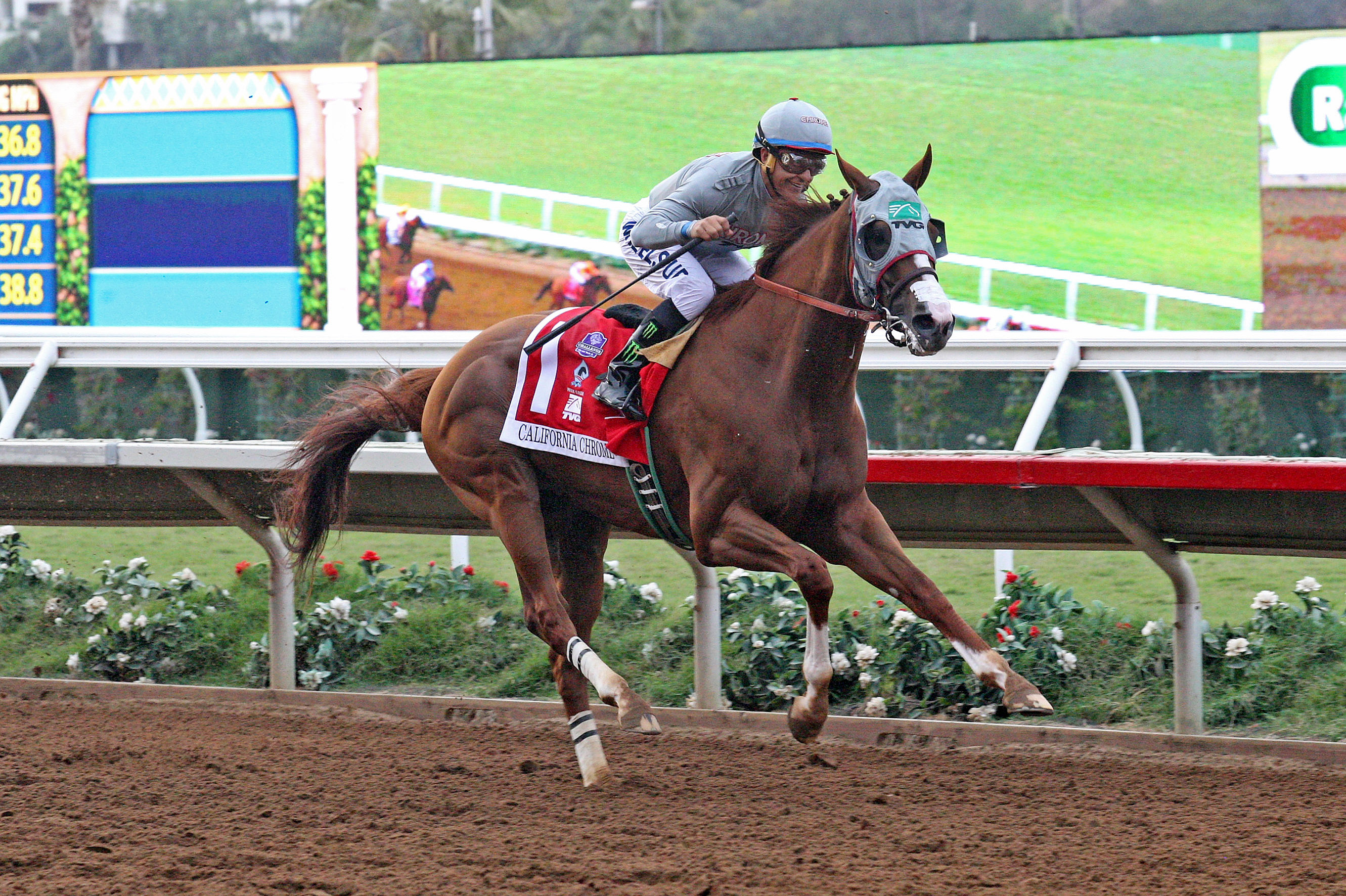 California Chrome wins the Pacific Classic